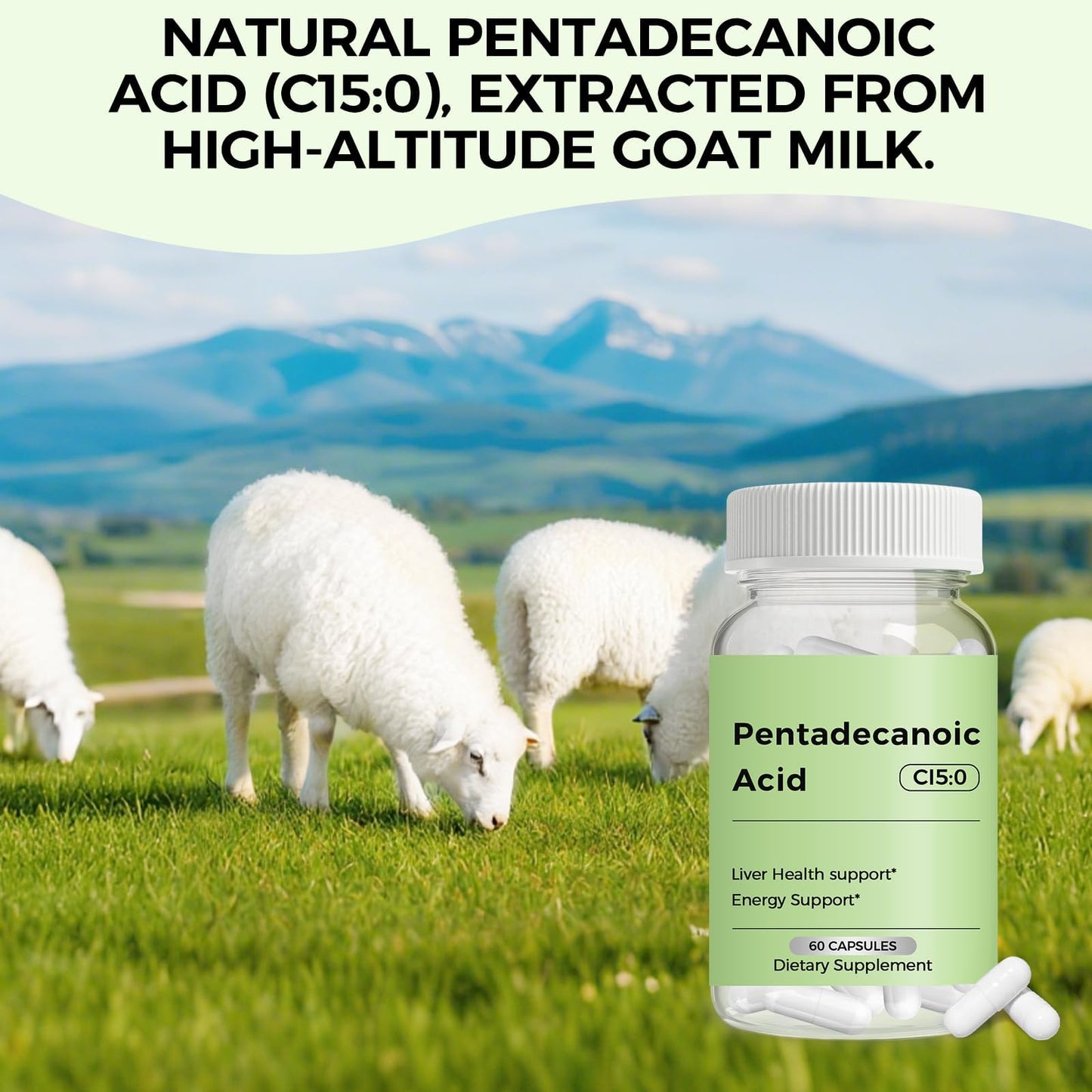 Engtozl Pentadecanoic Acid C15:0 Supplement Capsule, 60 Count