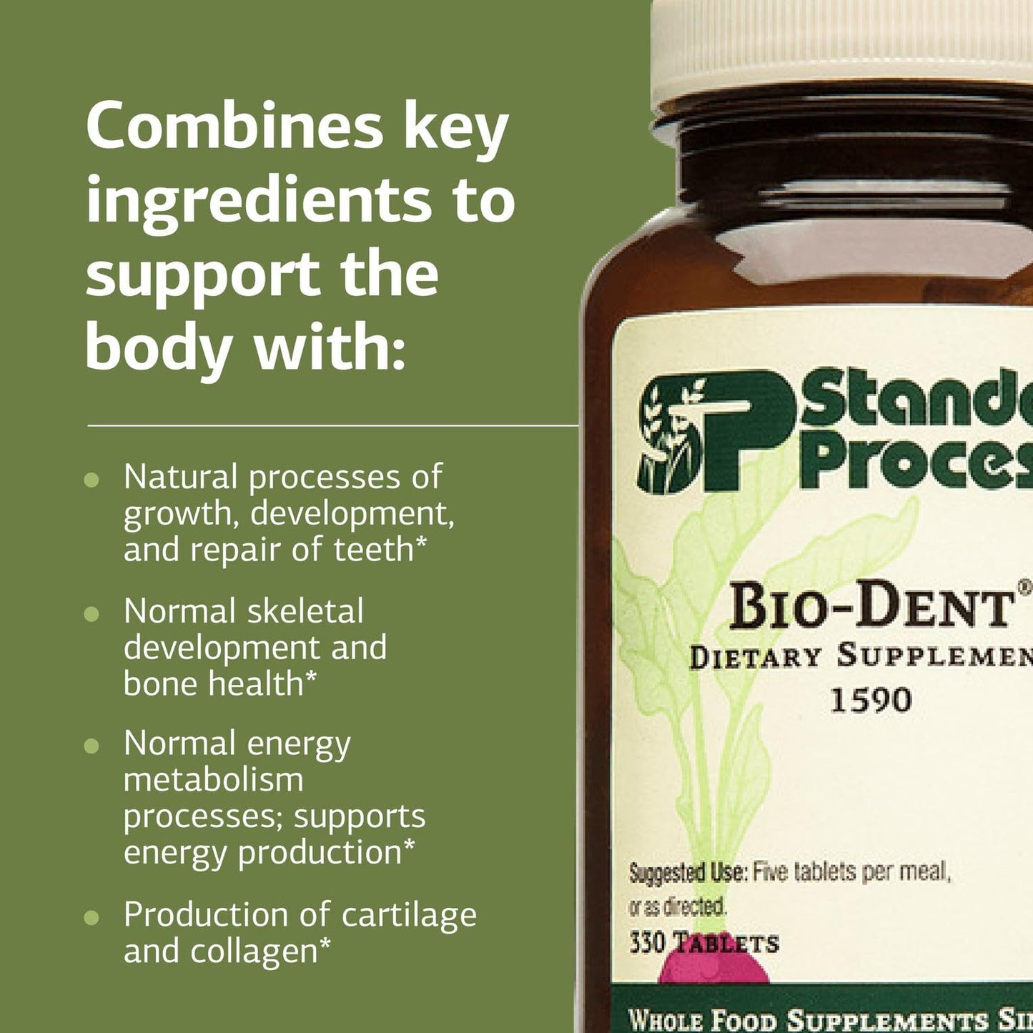 Standard Process Inc. Bio-Dent Skeletal Health Supplement 330 Tablets