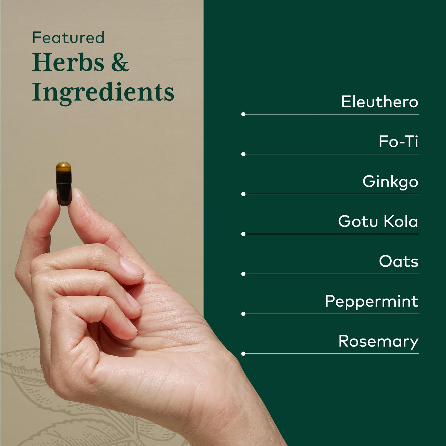 Gaia Herbs PRO Cognitive Formula - Brain Health & Blood Flow Support Supplement Capsule, 60 Count
