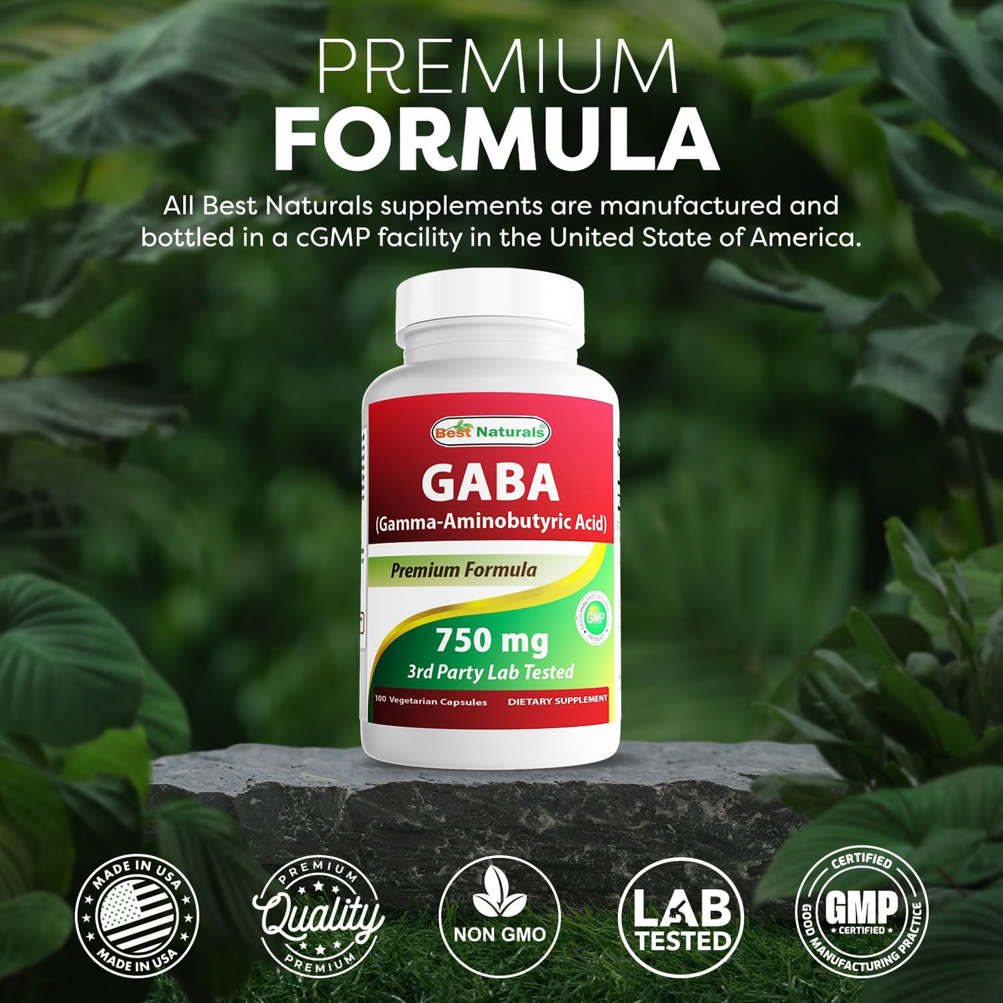 Best Naturals GABA 750 mg Capsule, 100 Count