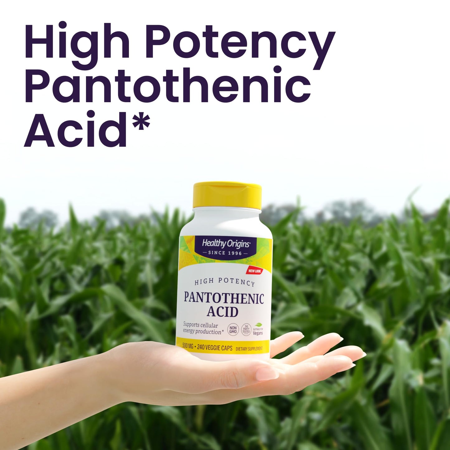 Healthy Origins Vitamin B5 Pantothenic Acid 500 mg Capsules, 240 Count