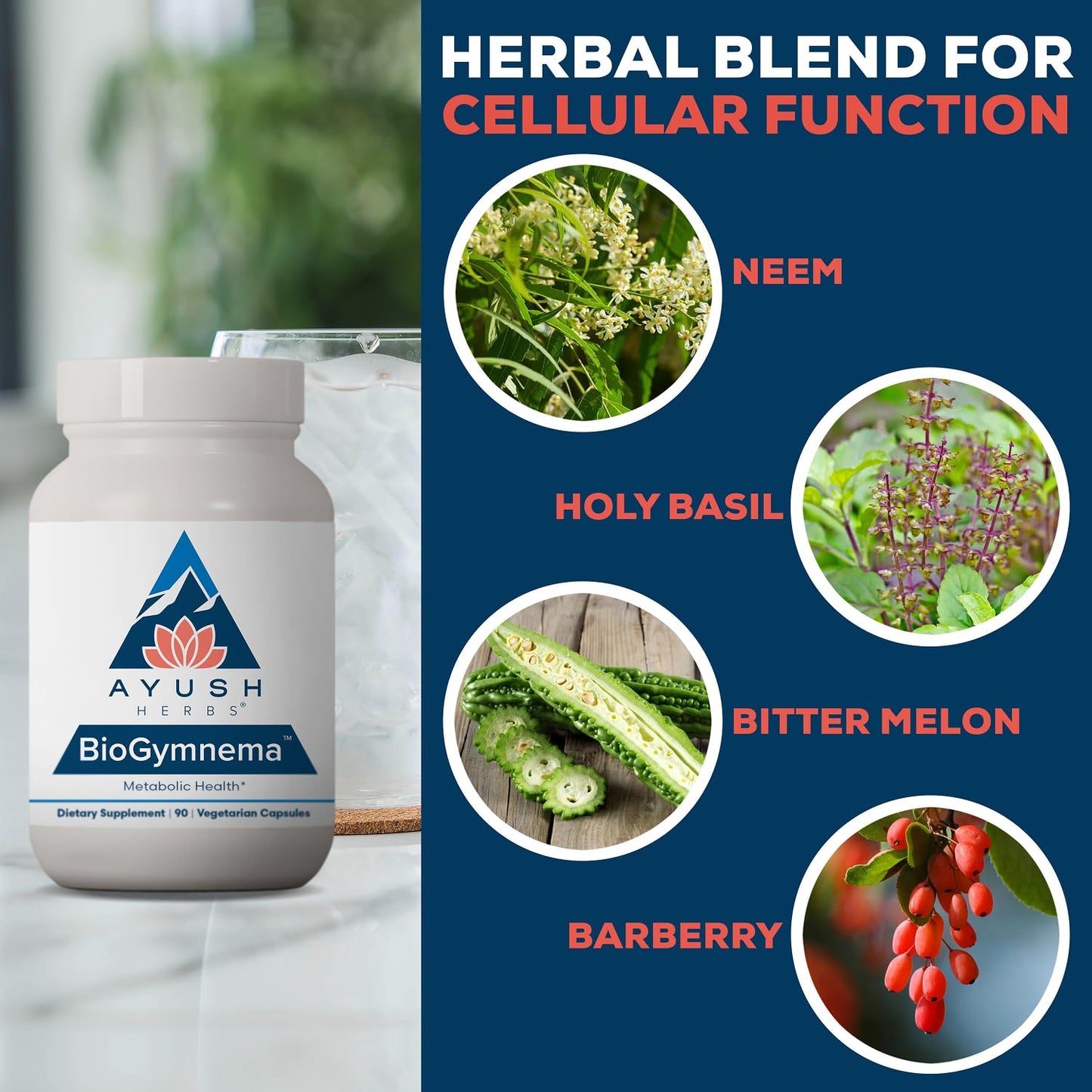 Ayush Herbs BioGymnema, Metabolic Vitamin & Herb Blend Capsule 90 Count