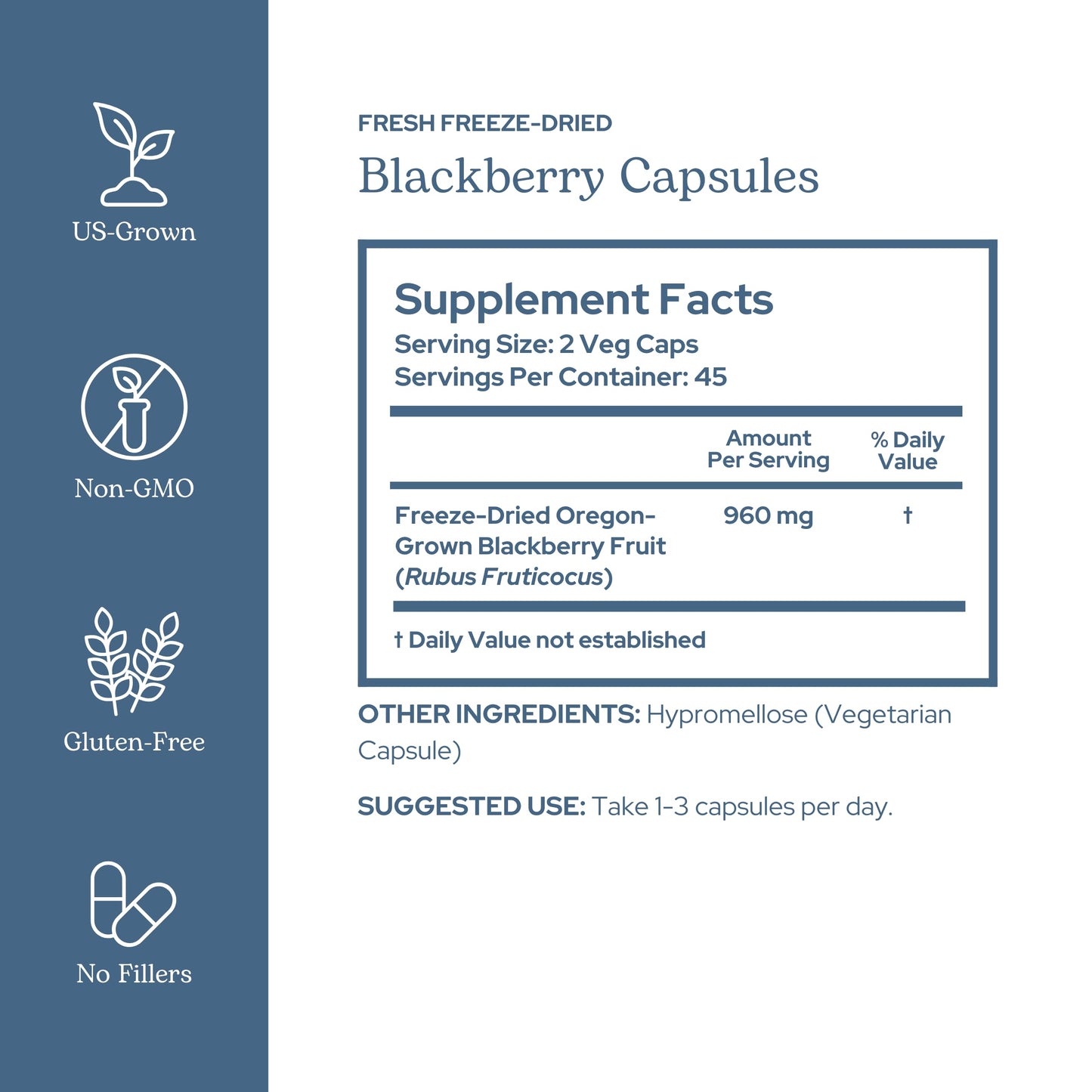 Eclectic Institute BlackBerry Fruit Capsules 90 Count