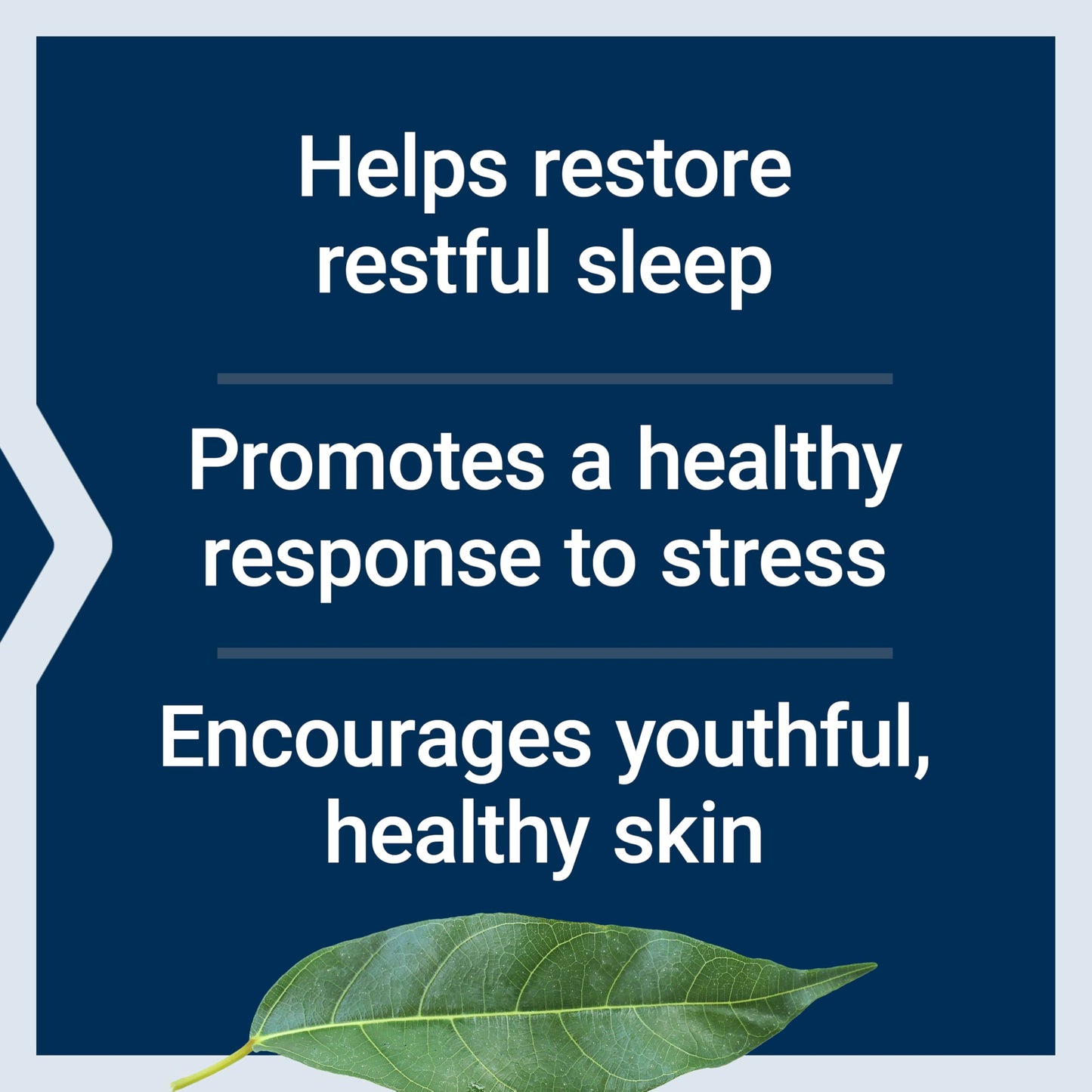 Life Extension Enhanced Sleep Without Melatonin Capsules, 30 Count