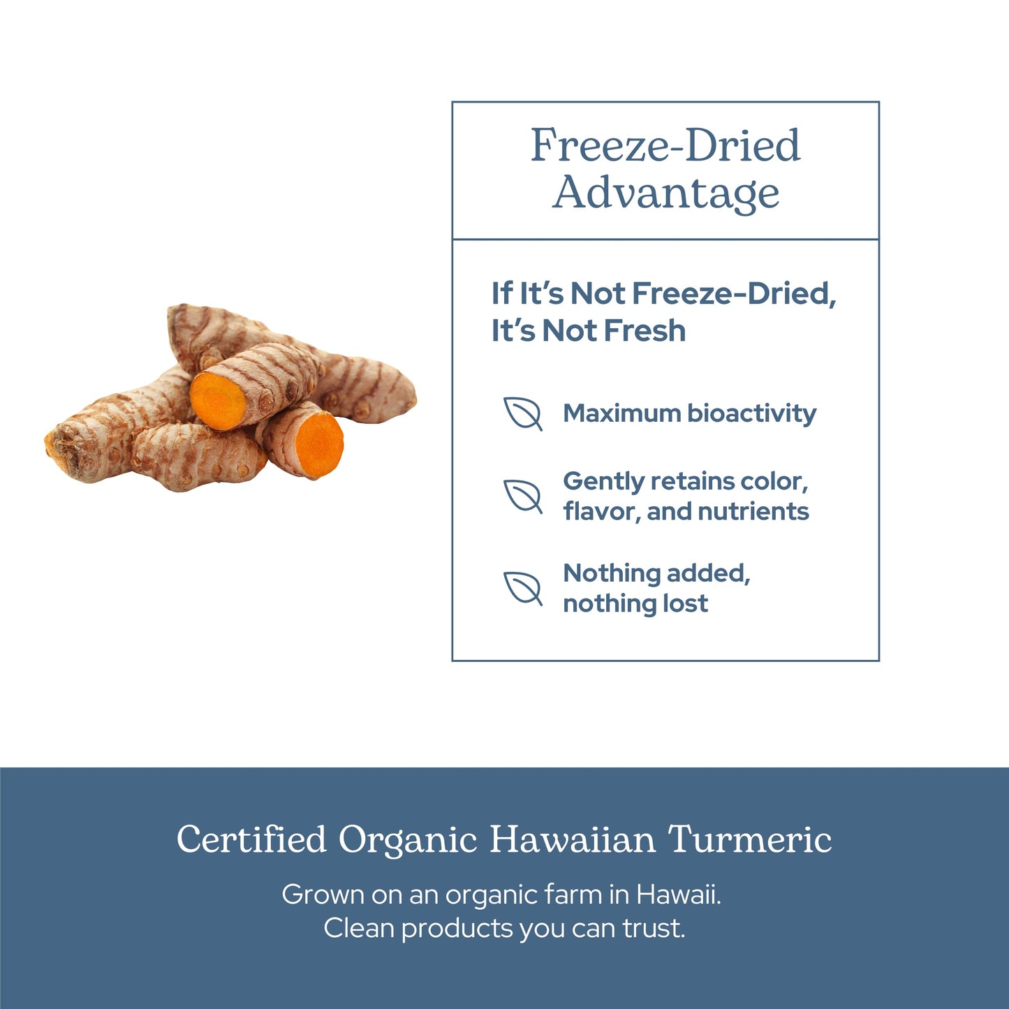 Eclectic Institute Organic Turmeric Capsules 90 Capsules