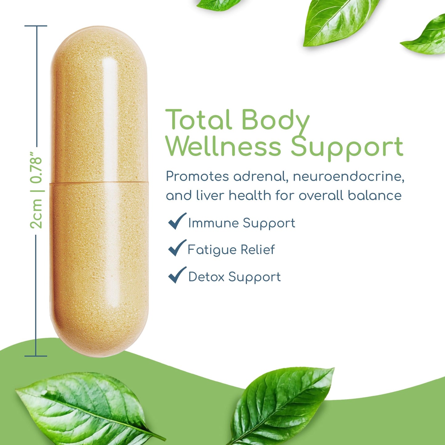 Return Healthy Foundation Formula Tick Immune Support Supplement Capsule 1 Capsule