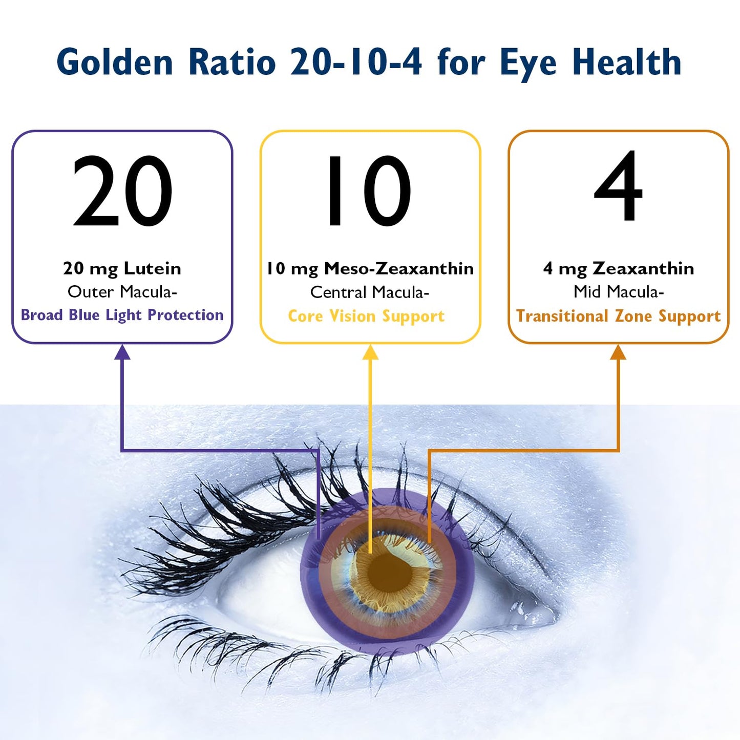 Ficpoud Neurobella Eye Formula, 60 Capsules