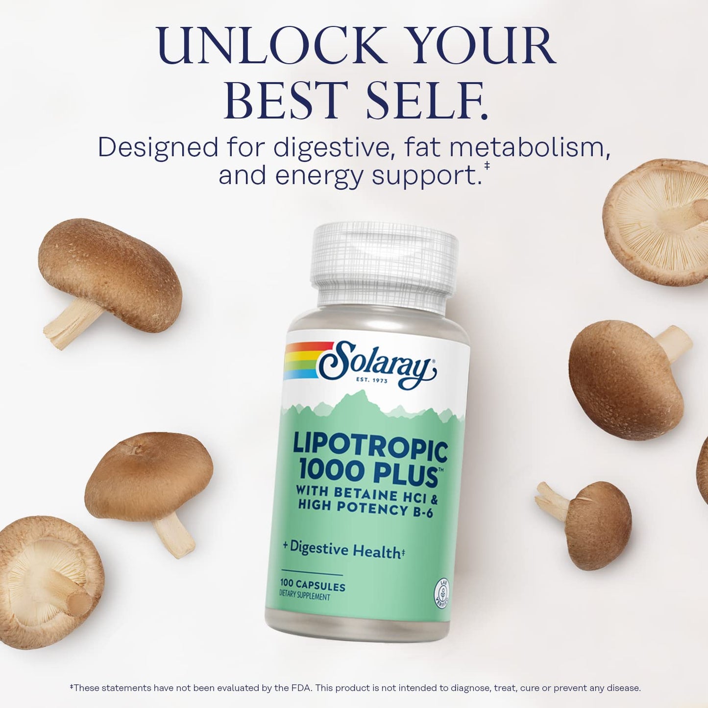 SOLARAY Lipotropic 1000 Plus Vitamin Capsules 100 Count