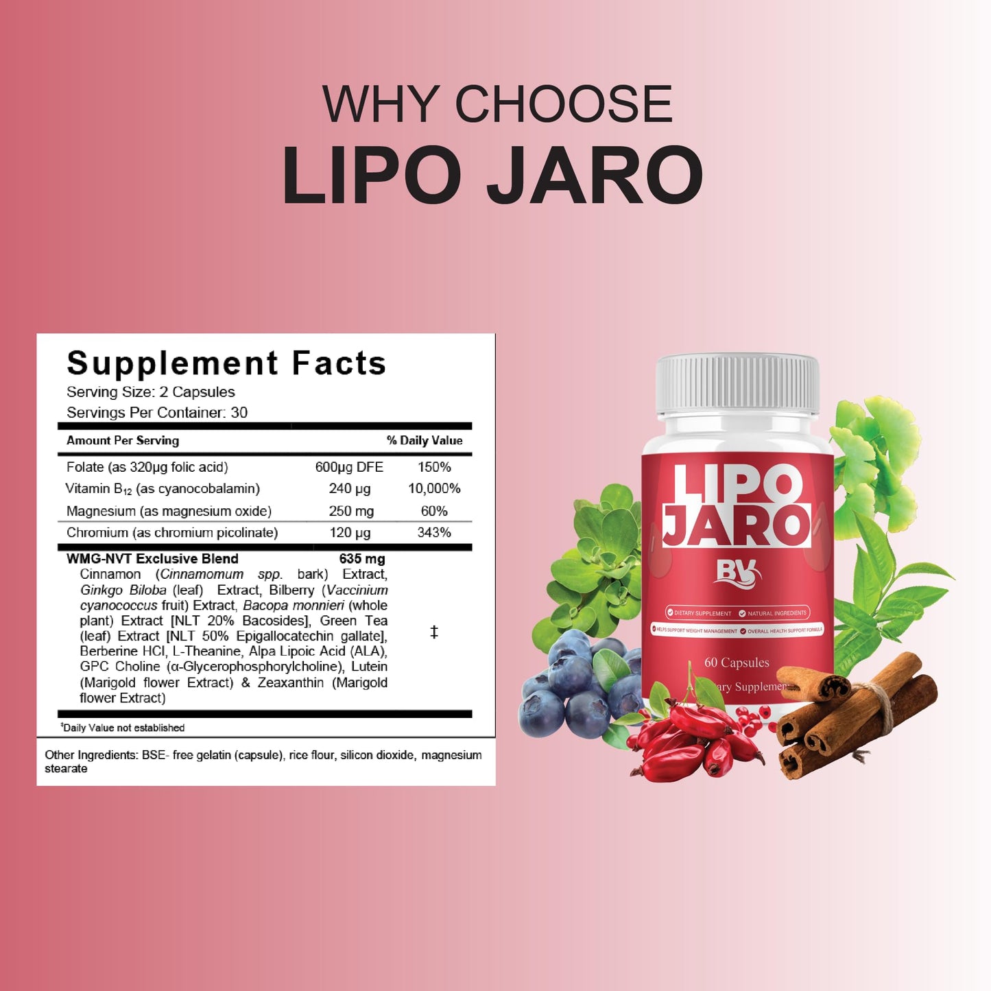 BLUE VIBE LipoJaro Capsules 120 Capsules