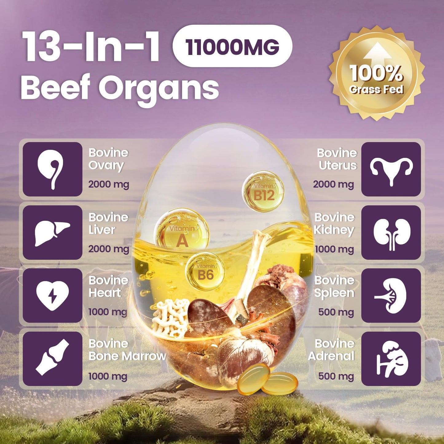 VivoNu 13-in-1 Beef Organ Supplement for Women Softgel, 300 Count