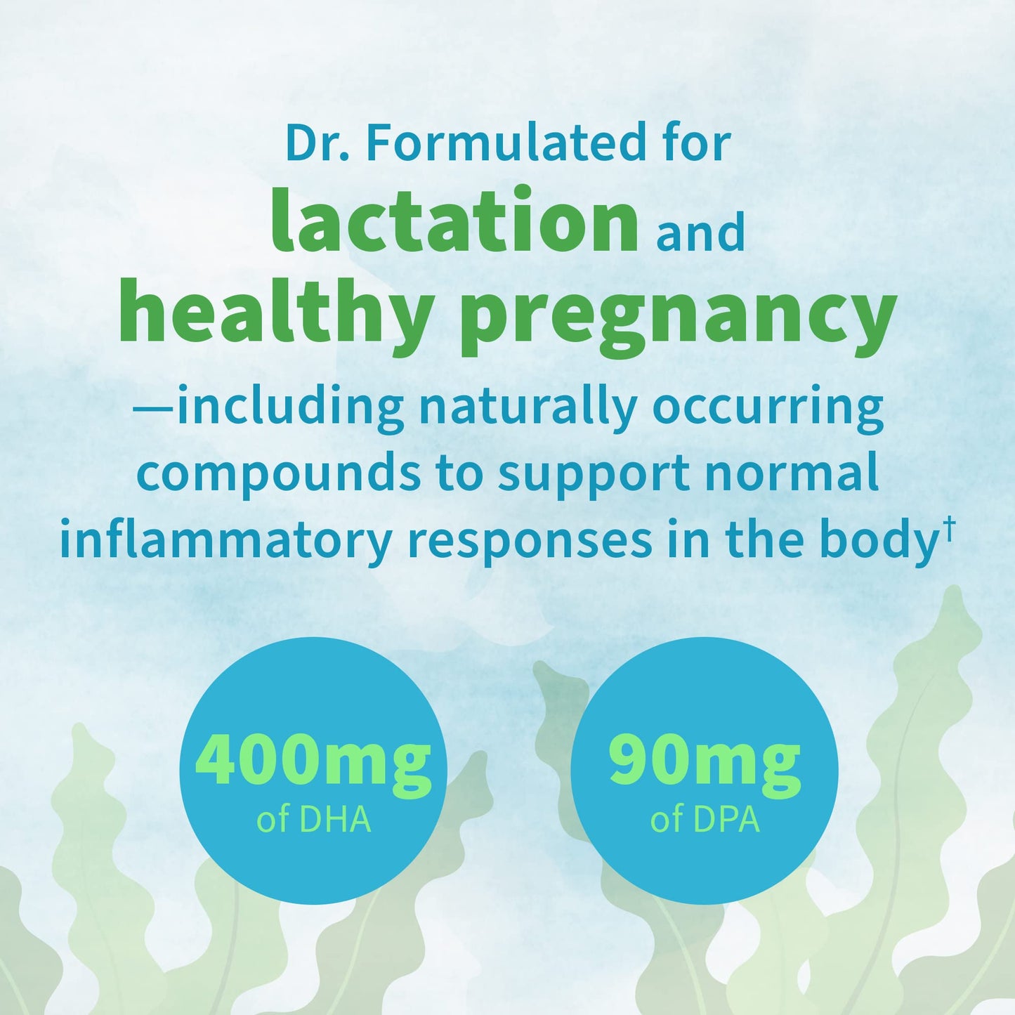 Garden of Life Dr. Formulated Prenatal Vegan DHA - Certified Vegan Omega 3 Supplement with 400mg DHA + DPA from Algal Omega 3 in Triglyceride Form, Non-GMO, 30 Softgels