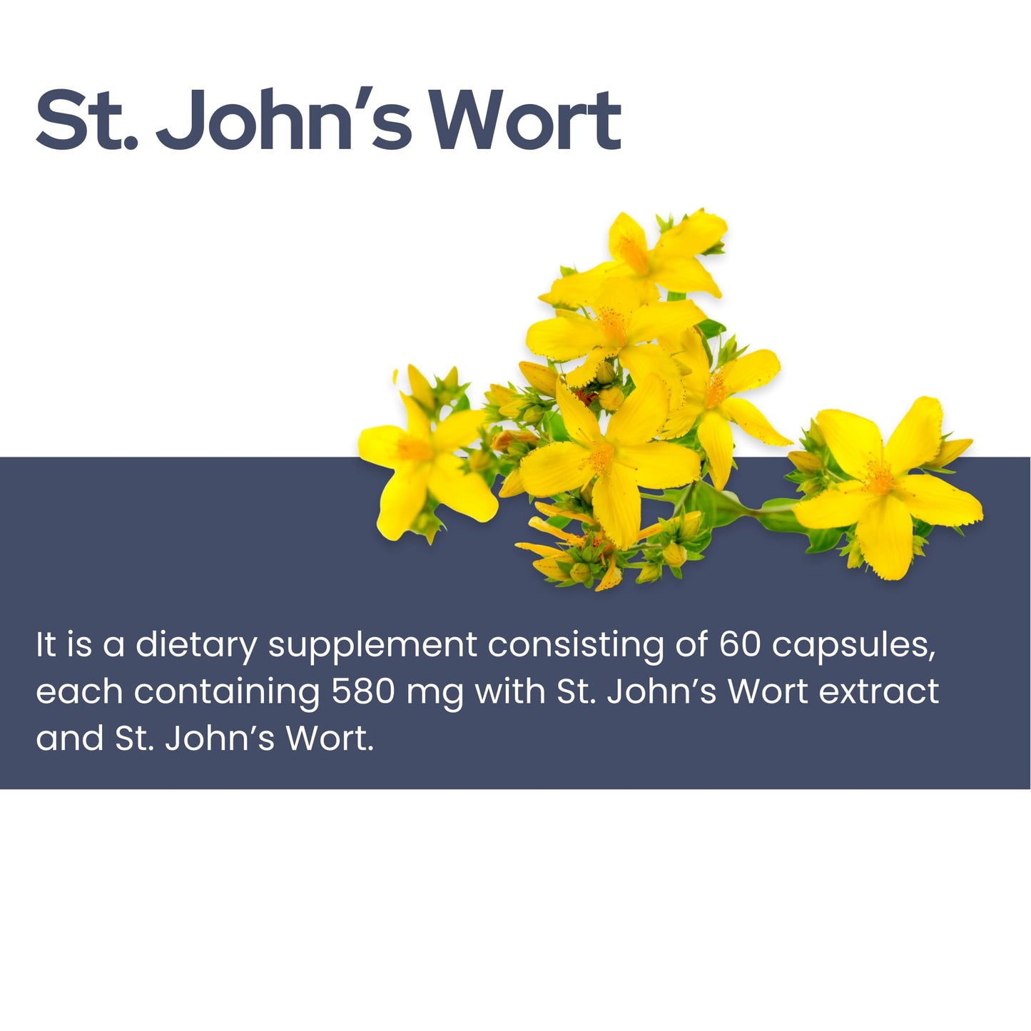 Avicenna St. John’s Wort Capsule 60