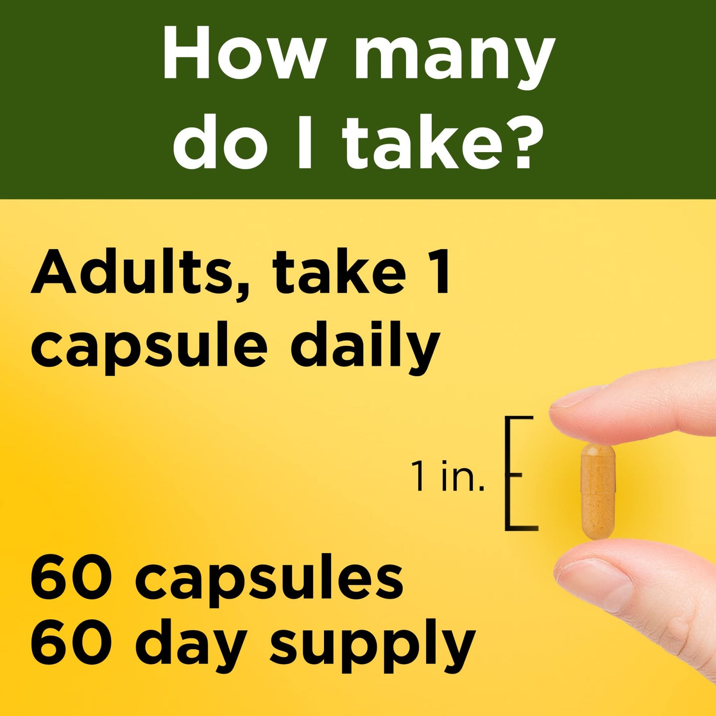 Nature Made Turmeric Curcumin 500 mg Capsule, 60 Count