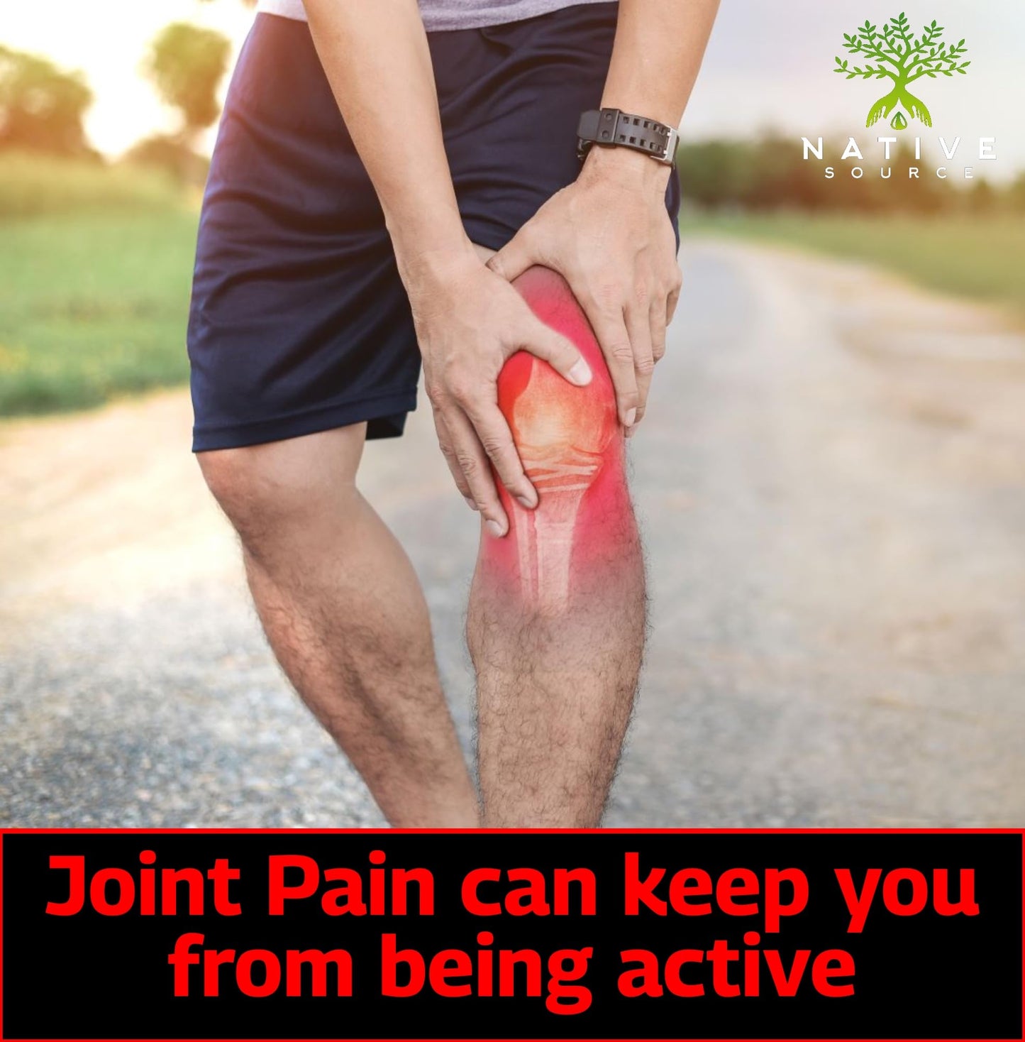 Native Source Indian Curcumin: Joint Recovery Capsules 30