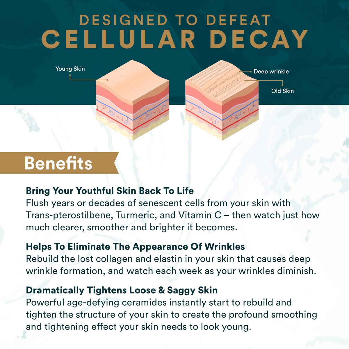 Vitalifi Sun Coast Sciences - ReActivate Your Skin’s Beauty from Within, with Dr. Rosenberg’s Special Skin Health Formula Capsules, 30 Count