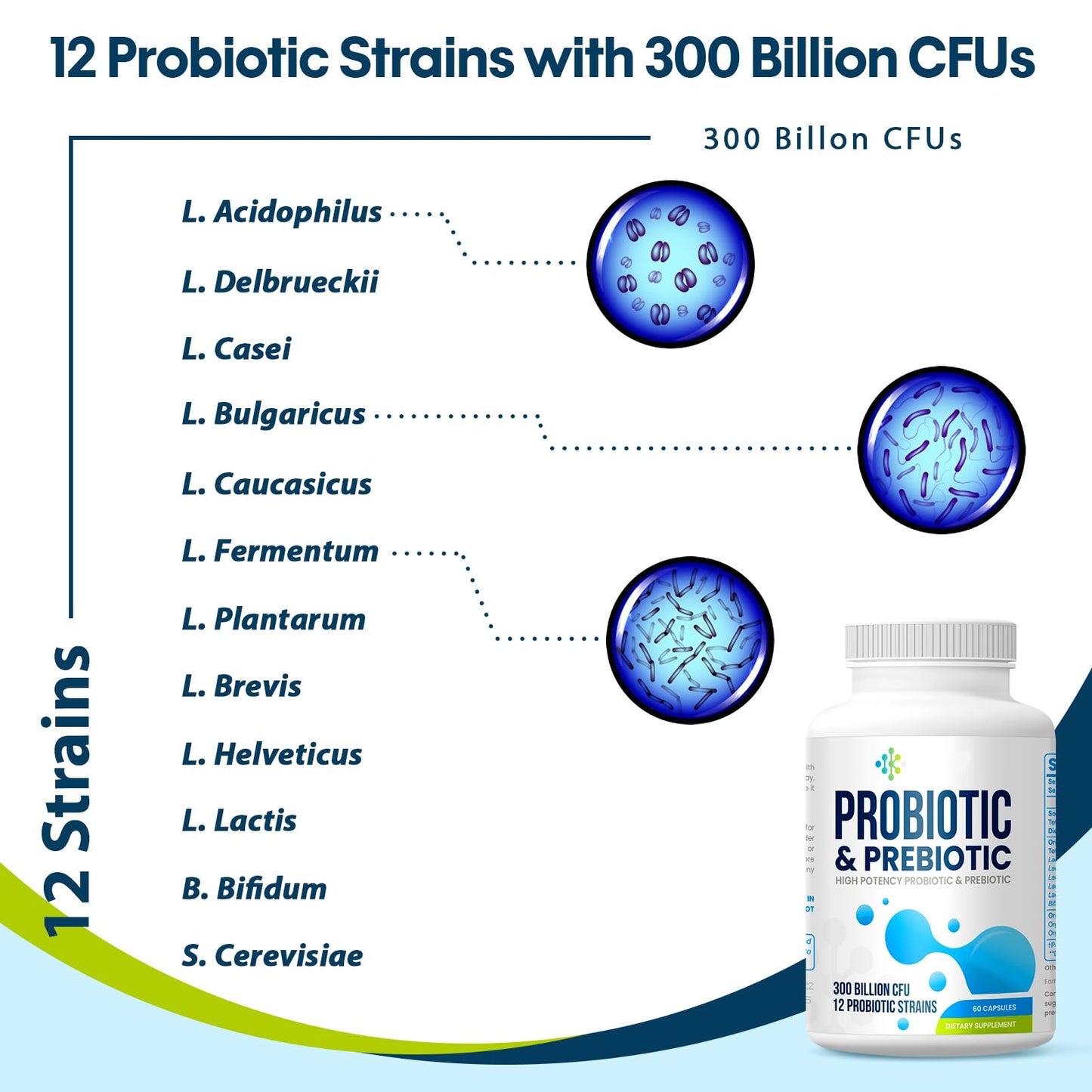 Wedkoup Probiotics for Women & Men, 300 Billion CFU, 12 Strains + 4 Organic Prebiotics, Digestive & Immune Support, Shelf Stable, 60 Capsules