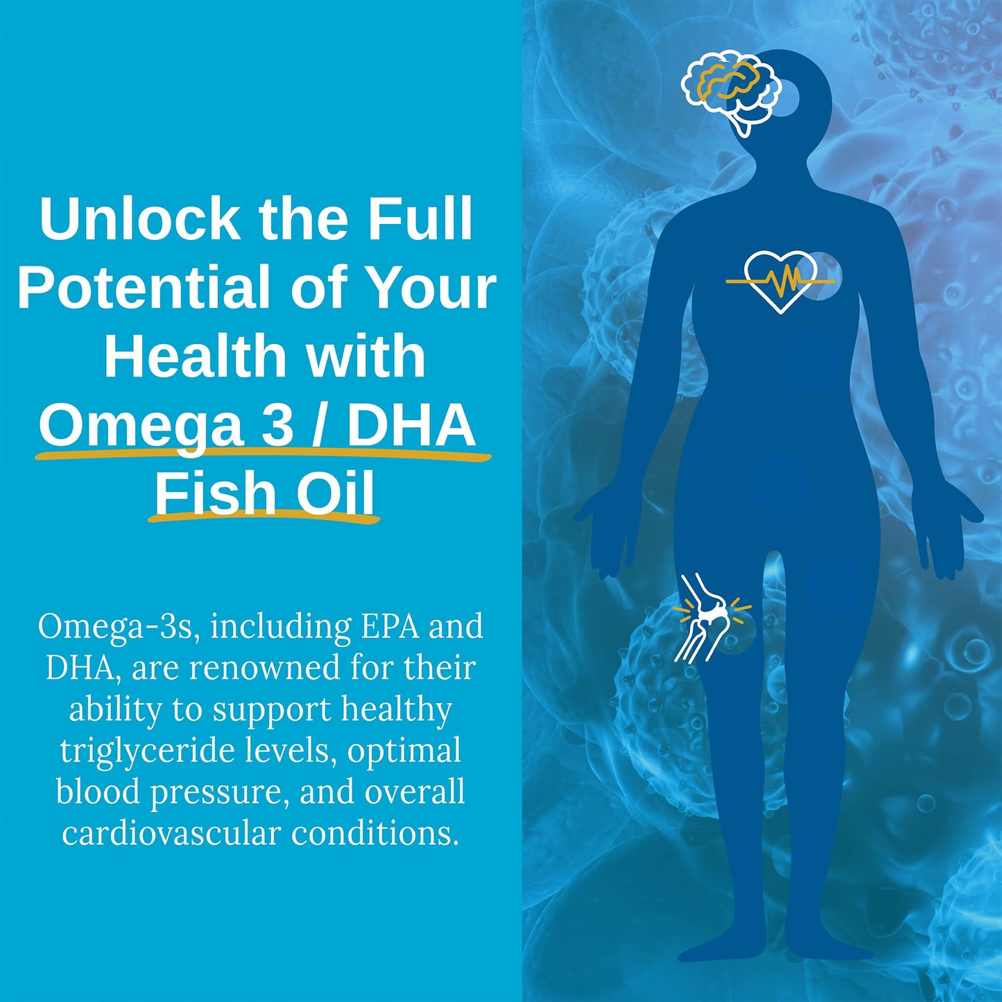 Xtendlife Omega-3 DHA Fish Oil Softgel 60 Count