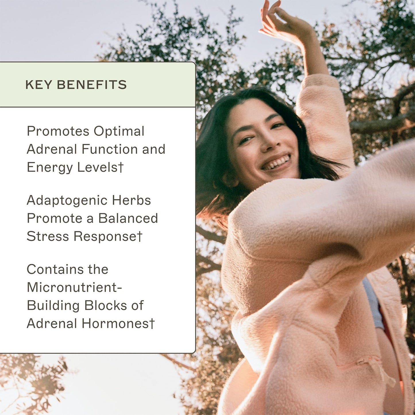 Amy Myers MD Adrenal Support - Adaptogenic Herb Supplement with Ashwagandha, Riboflavin, Vitamin B6 & More, 180 Capsules