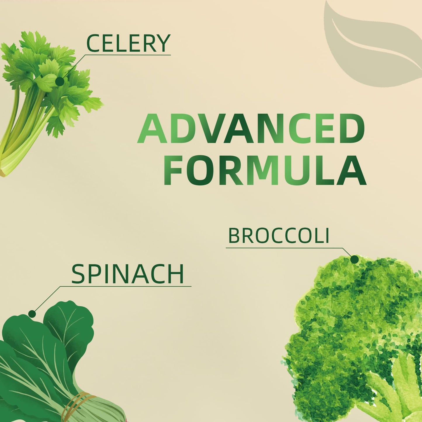 Greenshoots Super Greens Gummies 60 Gummies