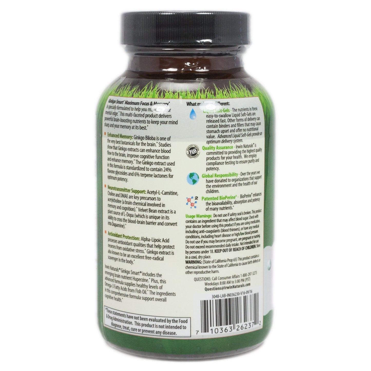 Irwin Naturals Ginkgo Smart 60 Capsules