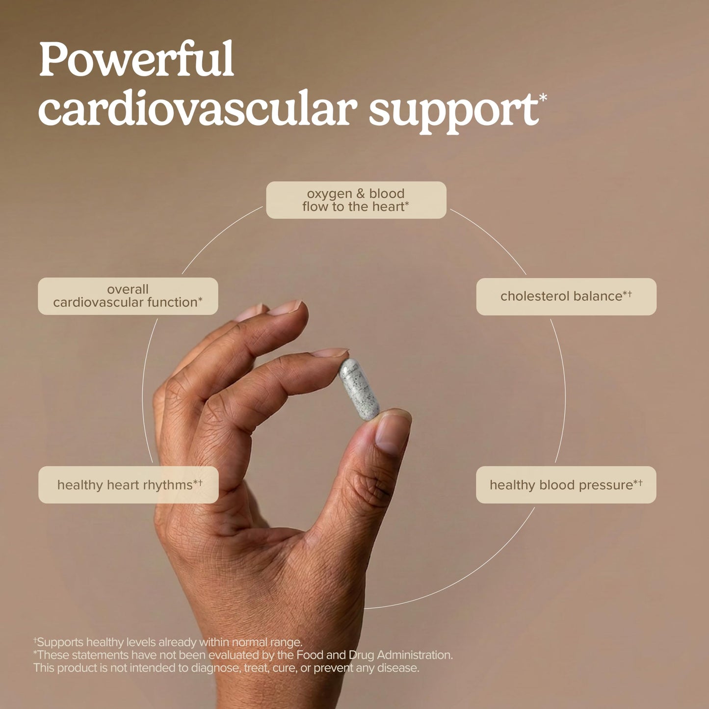 Terry Naturally Clinical OPC Heart 60 Capsules