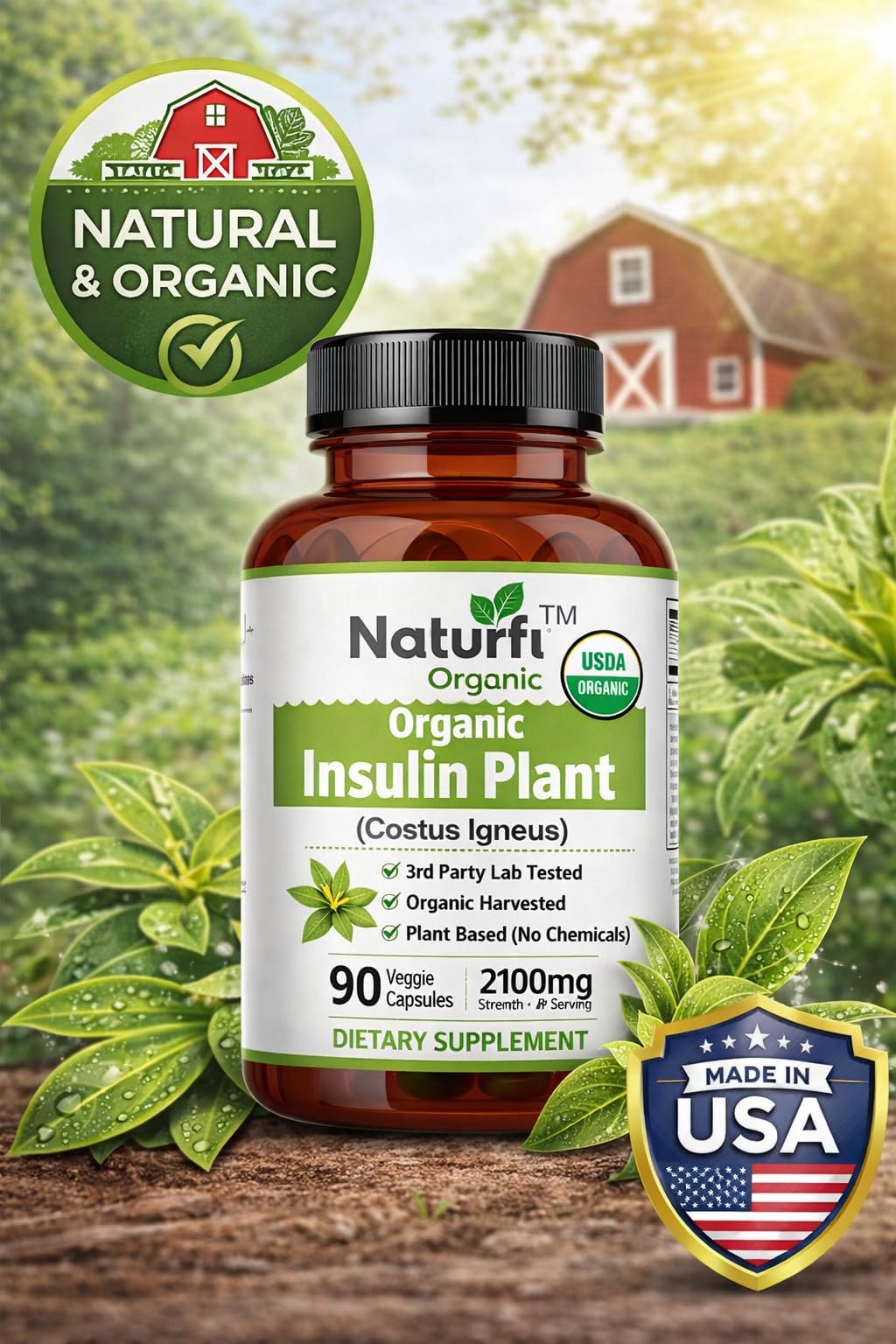 Naturfi Organic Insulin Plant Capsules 90 Count