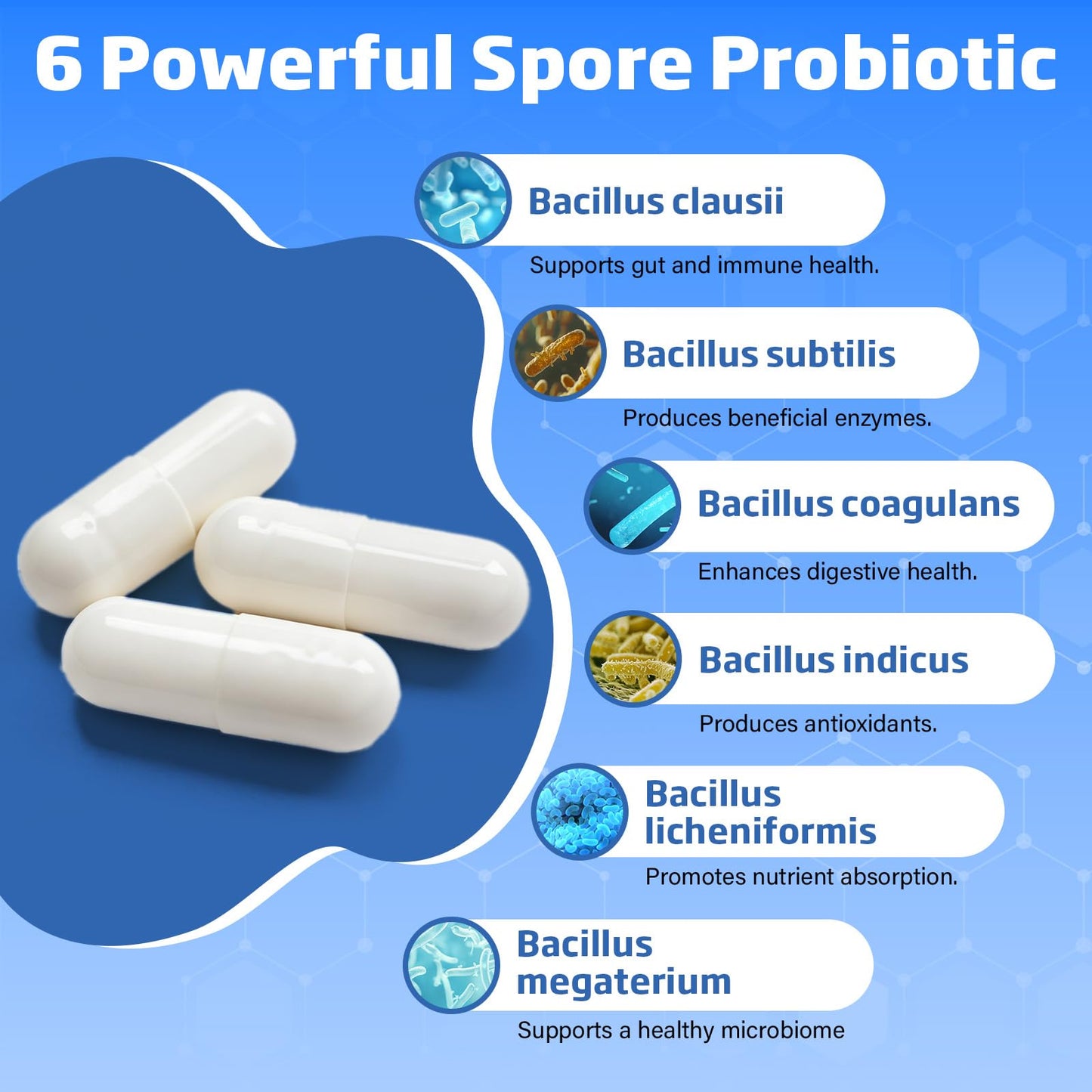 Tylessa Spore Probiotic Bacillus Subtilis 20 Billion CFU Capsules, 90 Count