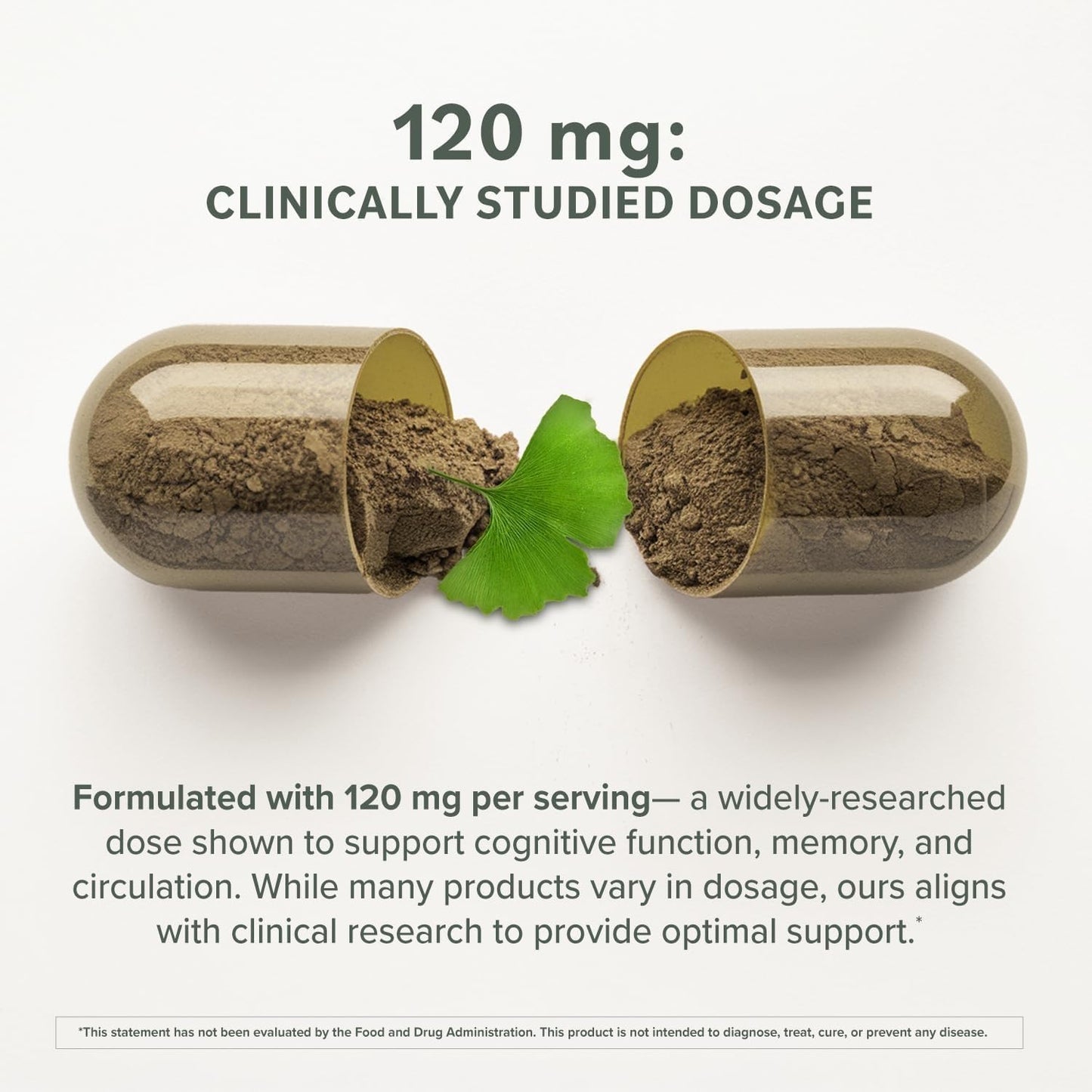 Prominent Nutrition Ginkgo Biloba Leaf Extract 120mg Capsule, 60 Count (Pack of 2)