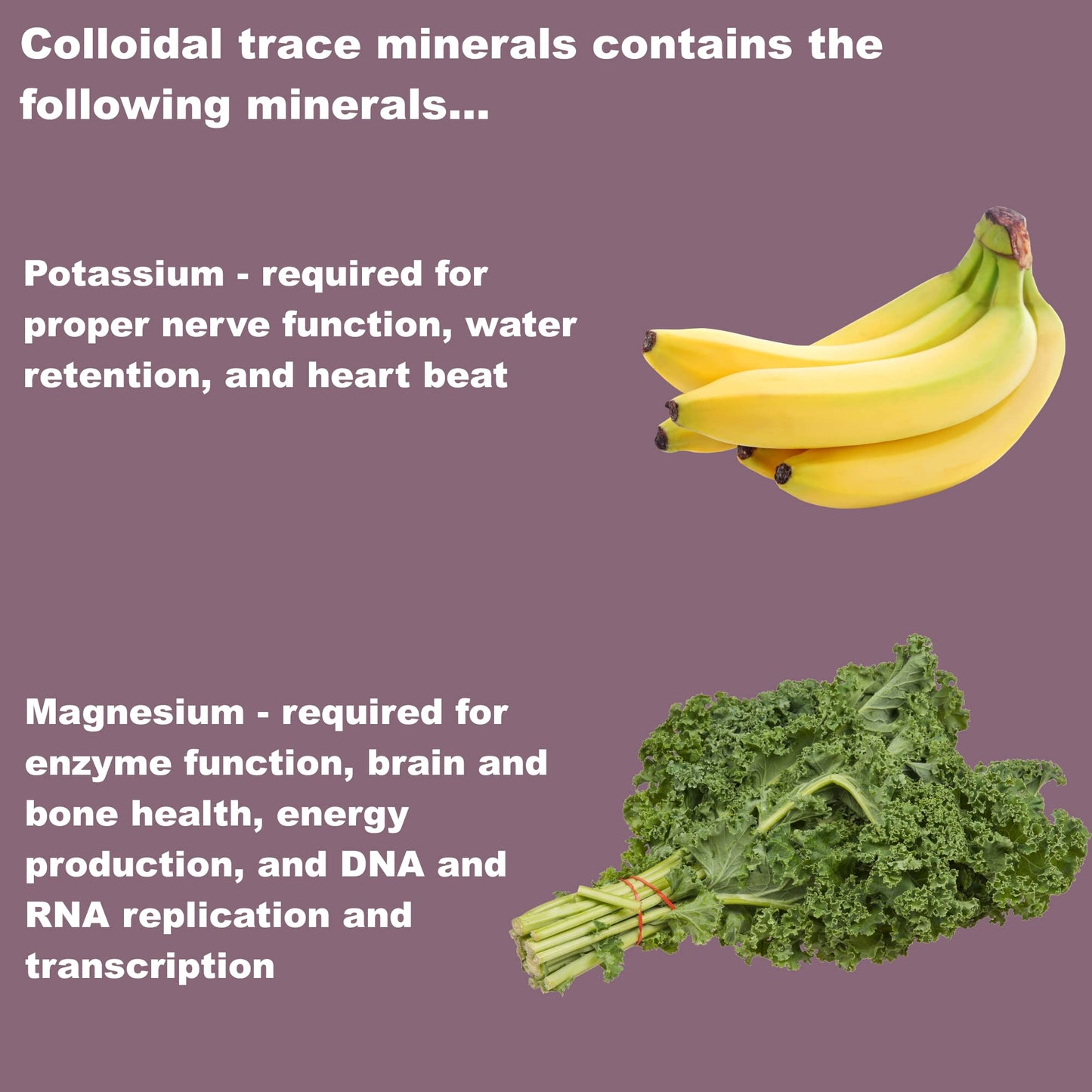 LifeLink Colloidal Trace Minerals Capsules 100
