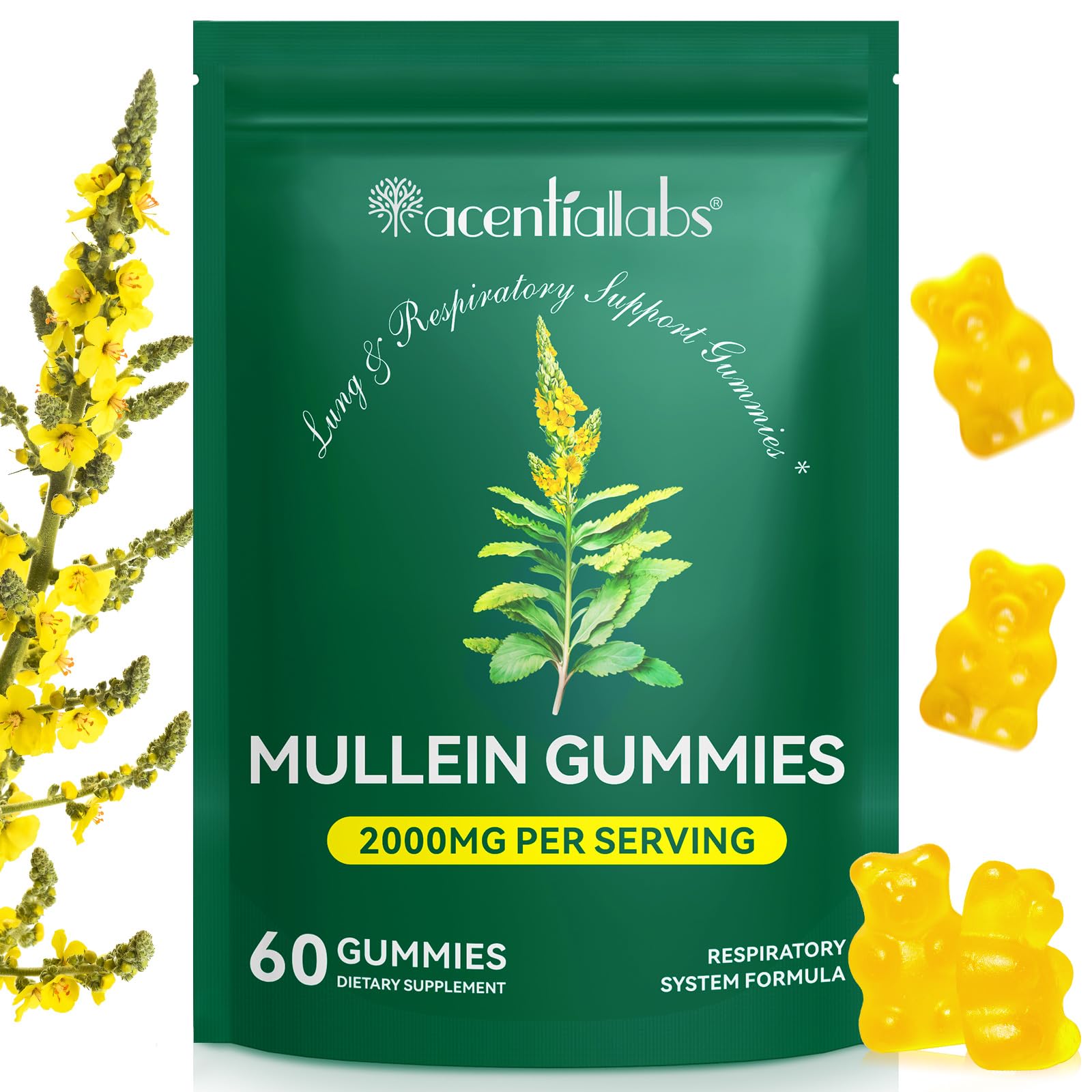 NIFEISHI Mullein Leaf Extract Capsules, 60 Count