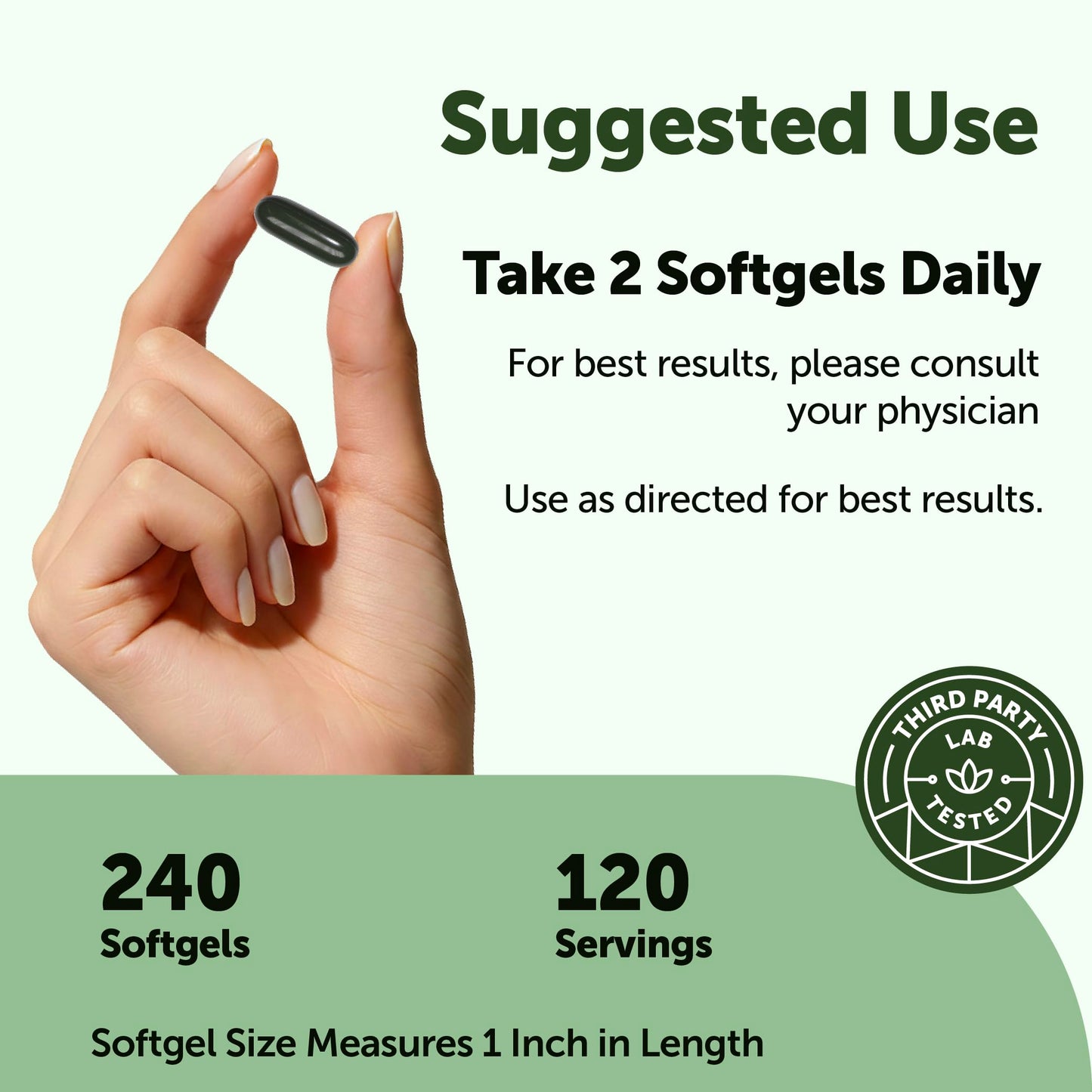 Micro Ingredients Moringa Leaf Extract 500mg per Serving Softgels 240 Count