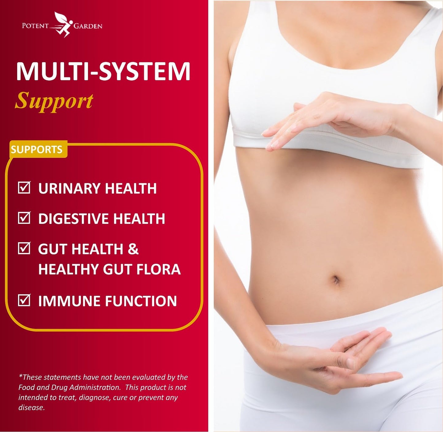 Potent Garden Urinary Support Probiotic Cranberry Capsules for Women, 5 Billion CFUs, 60 Count