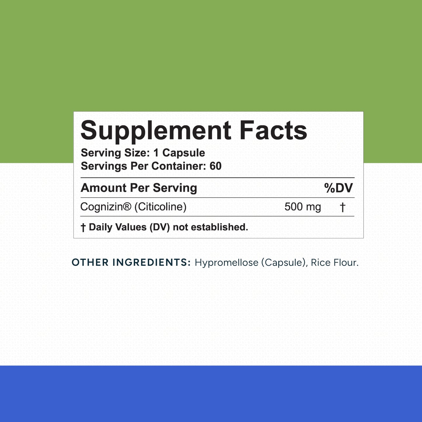 Rational Nutrition Cognizin Citicoline 500mg Capsules – CDP Choline Brain Support for Focus, Memory & Mental Clarity – 60 Count