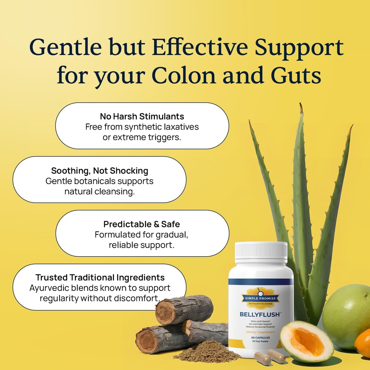 Simple Promise BellyFlush Gut & Colon Cleanse Capsules 60 Count