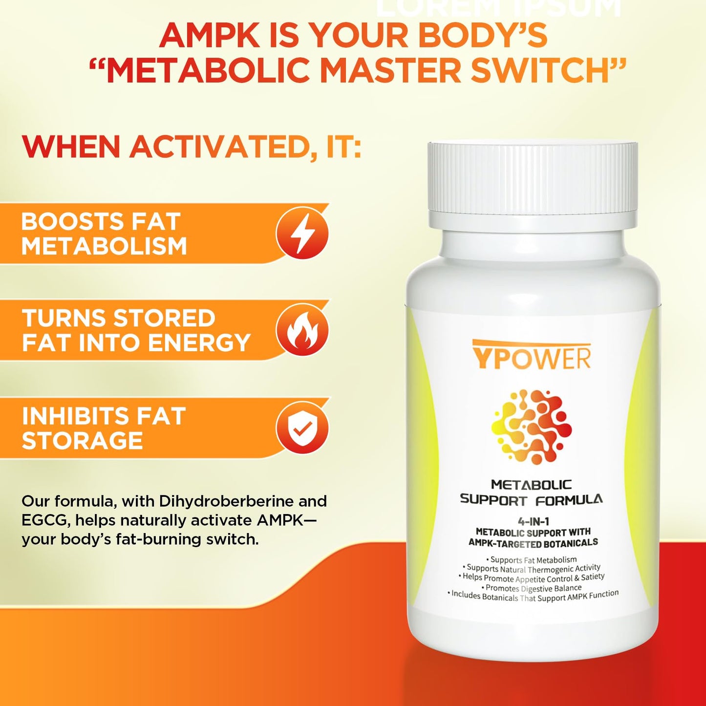 Ypower Natural Thermogenic Fat Burner – 4 in 1 Metabolic Support for Stubborn Fat, Metabolism Boost & Weight Control, 24/7 Weight Loss, 60 Capsules