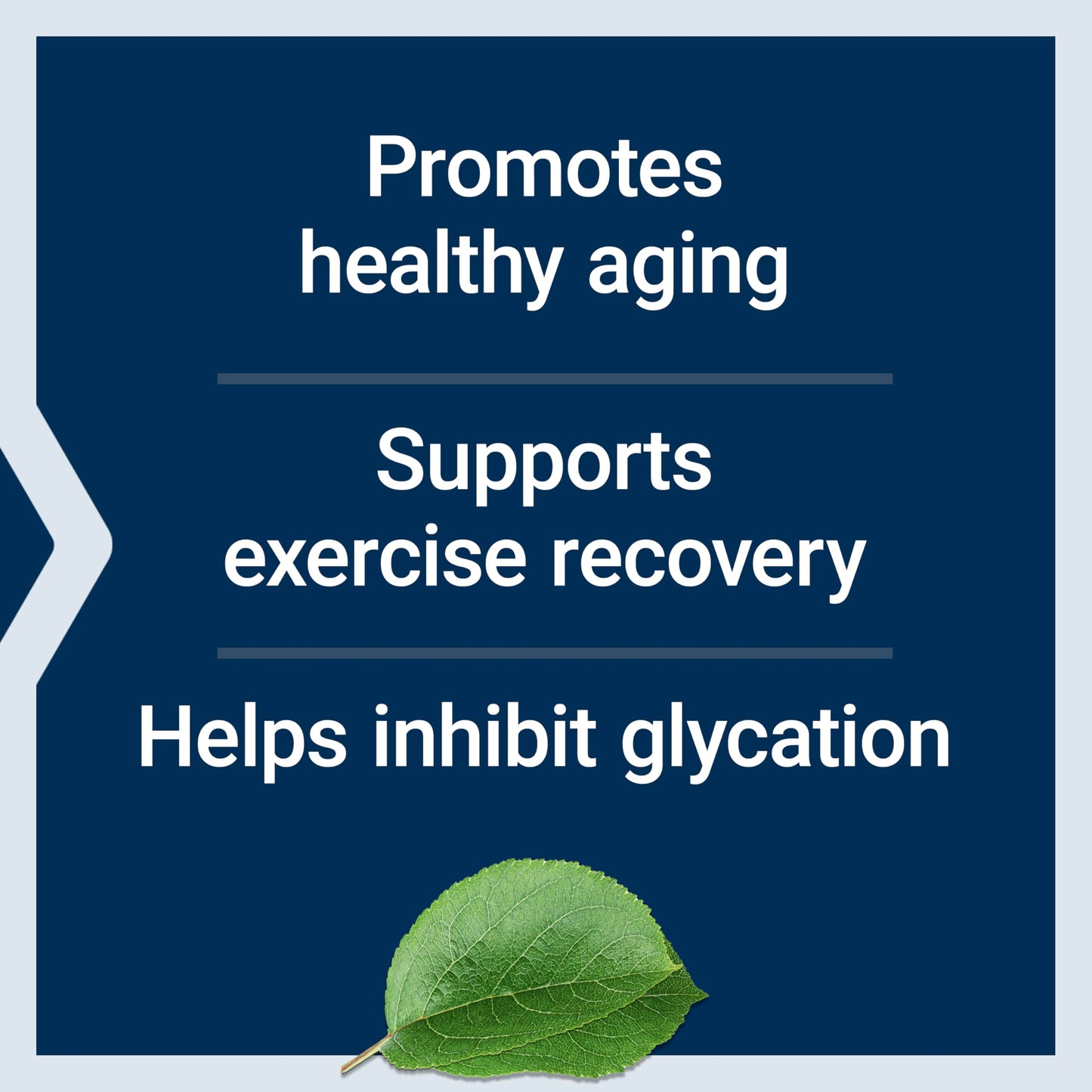 Life Extension Carnosine Capsule, 60 Capsules