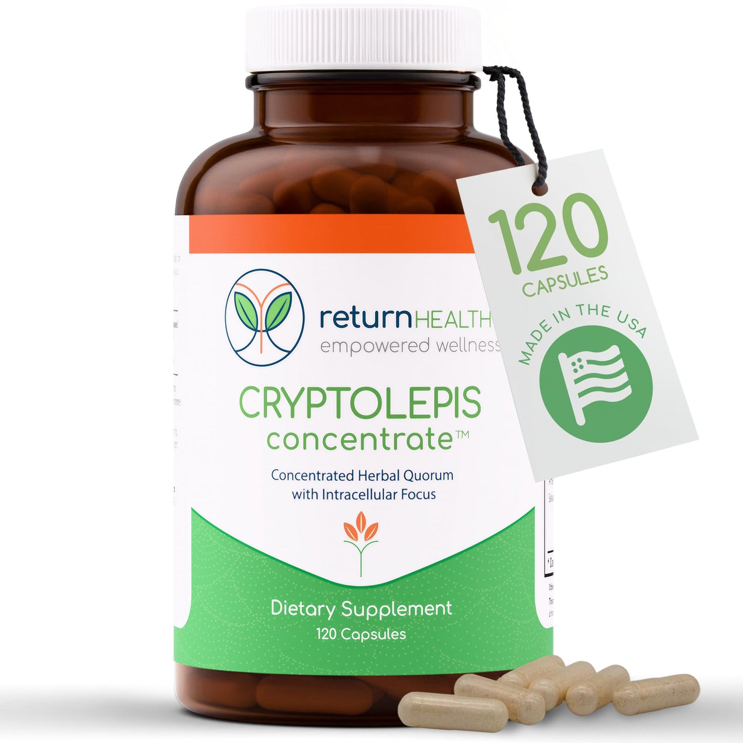 Return Healthy Cryptolepis Concentrate Capsule, 120 Capsules
