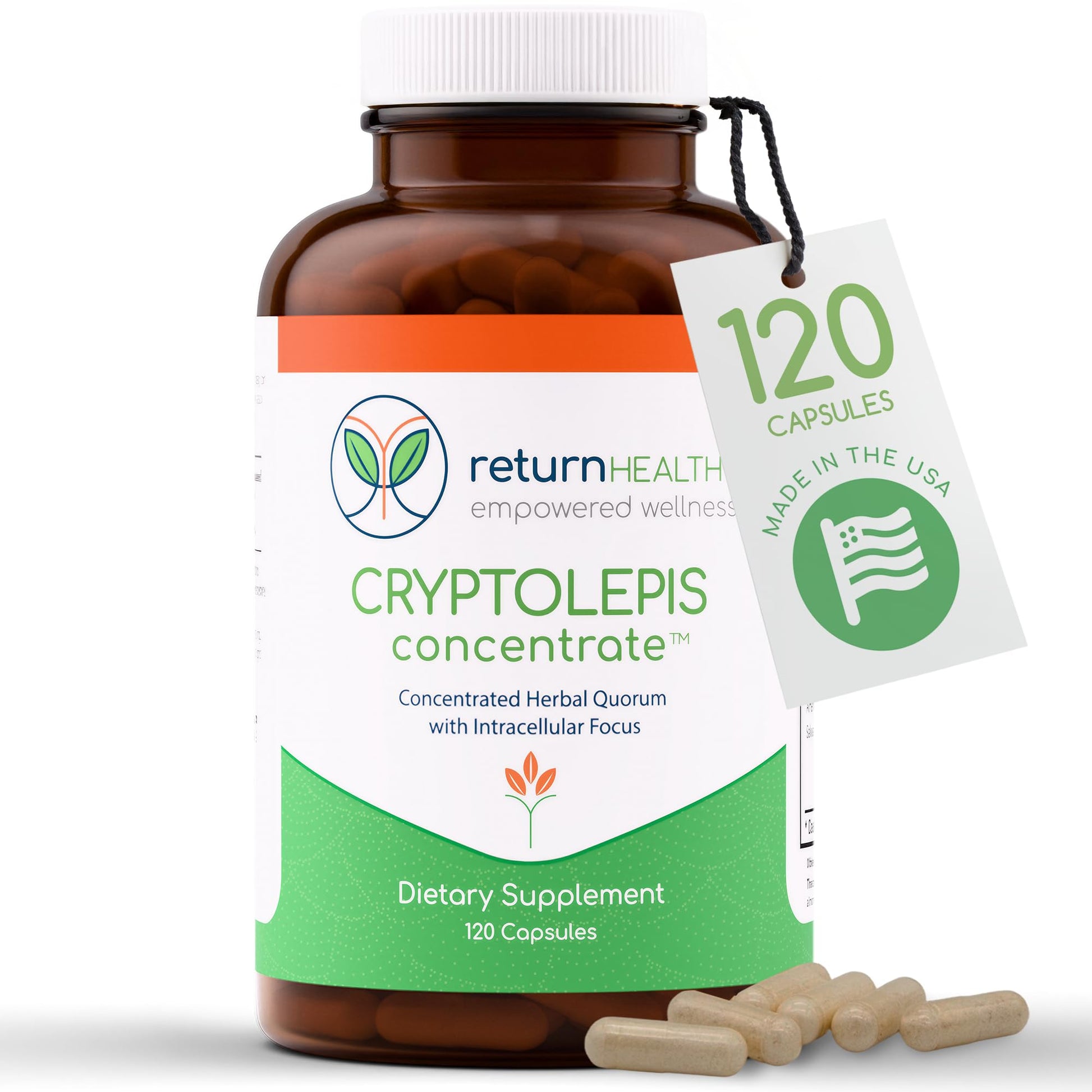 Return Healthy Cryptolepis Concentrate Capsule, 120 Capsules