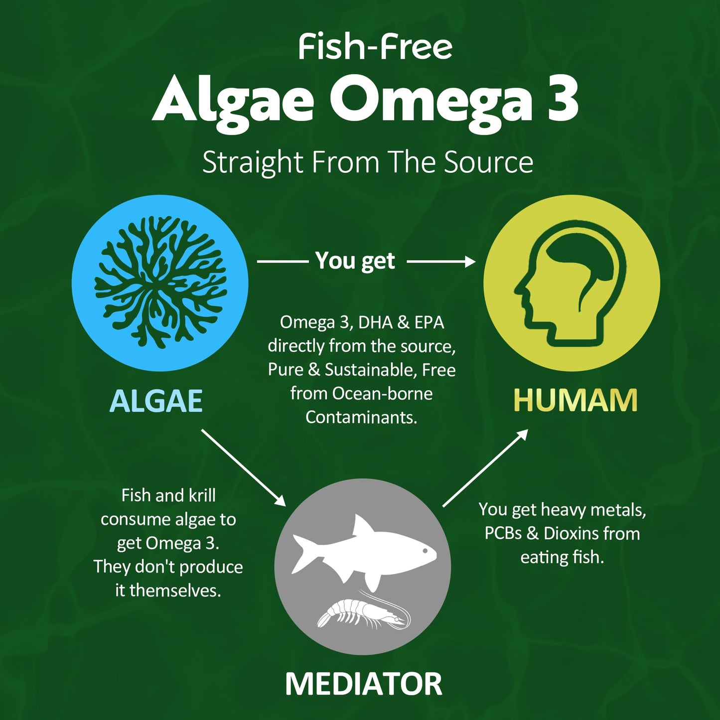 Nextdia Vegan Omega 3 Gummies, 180 Gummies