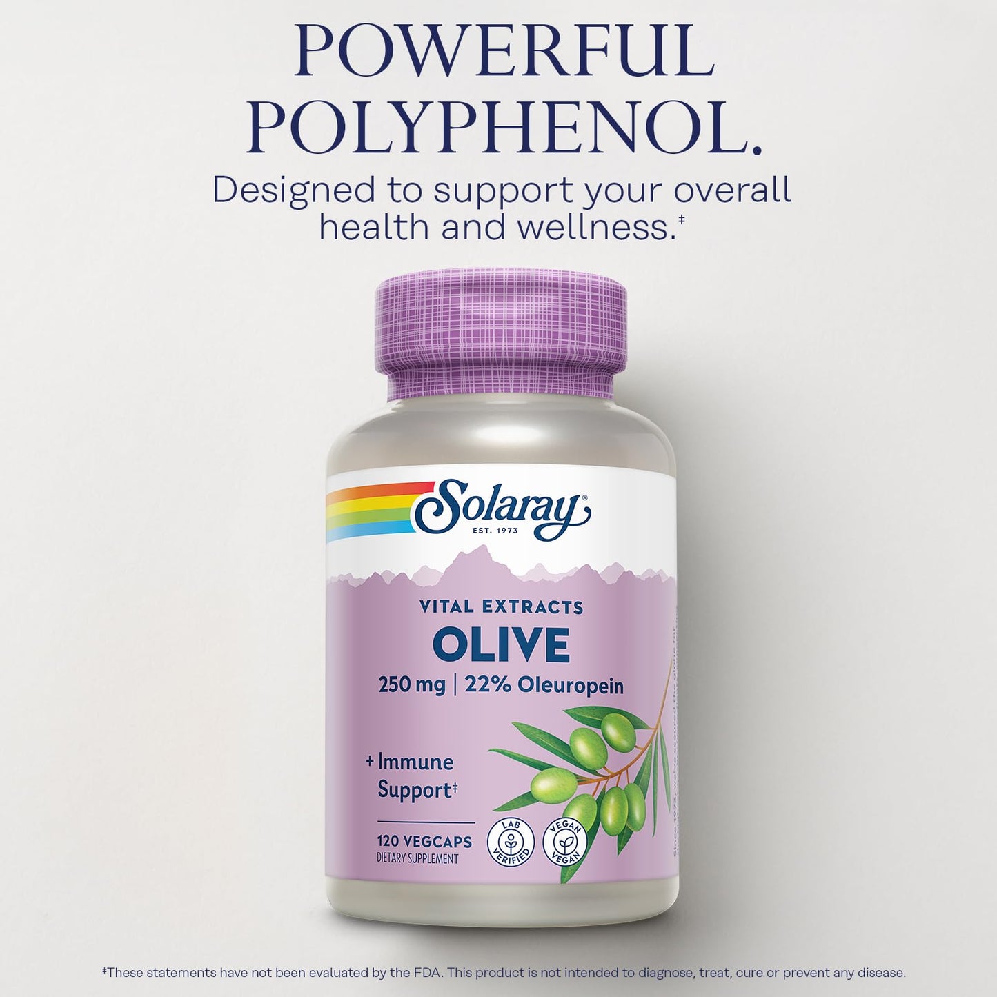 SOLARAY Olive Leaf Extract Capsules with Lemon Balm 250mg, 22% Oleuropein, 120 Capsules