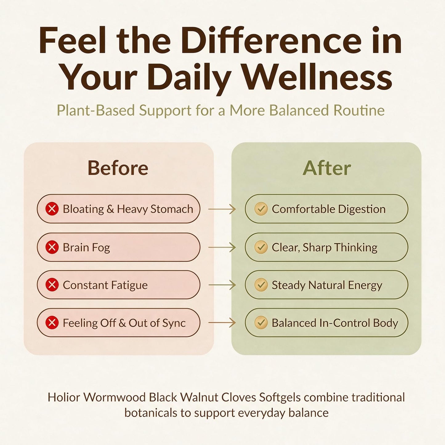Holior Labs 18-in-1 Wormwood Black Walnut Cloves Softgel, 300 Softgels