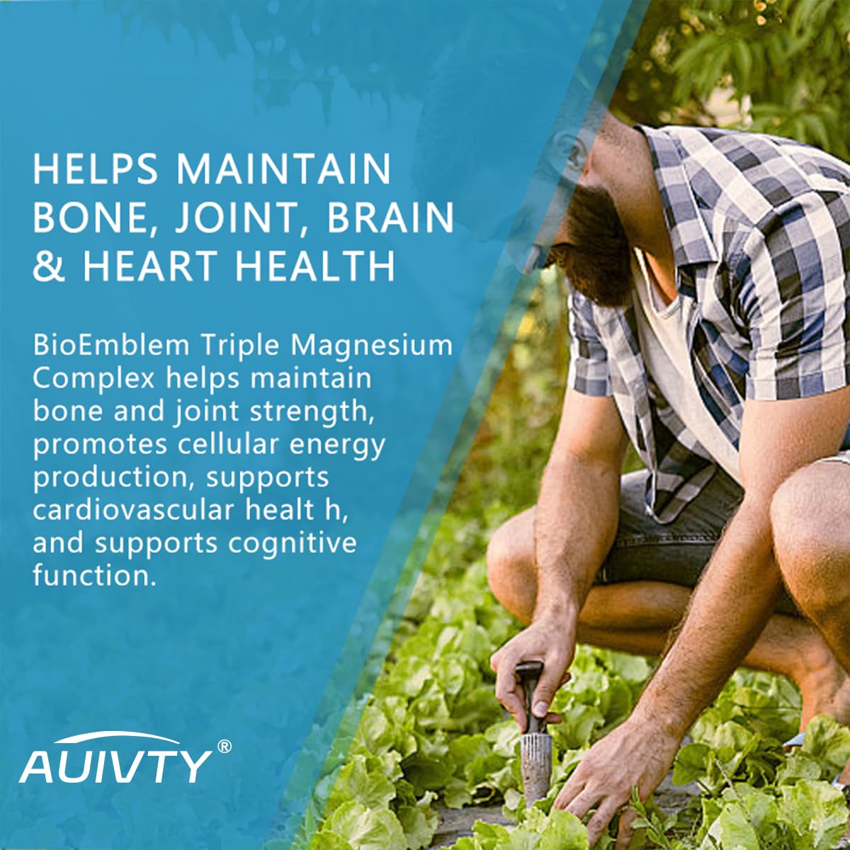 Auivty 5-in-1 Magnesium Complex 450 mg, High Absorption Magnesium Glycinate, Malate & Citrate with Vitamin B6, Muscle, Nerve & Relaxation Support, Capsules, 120