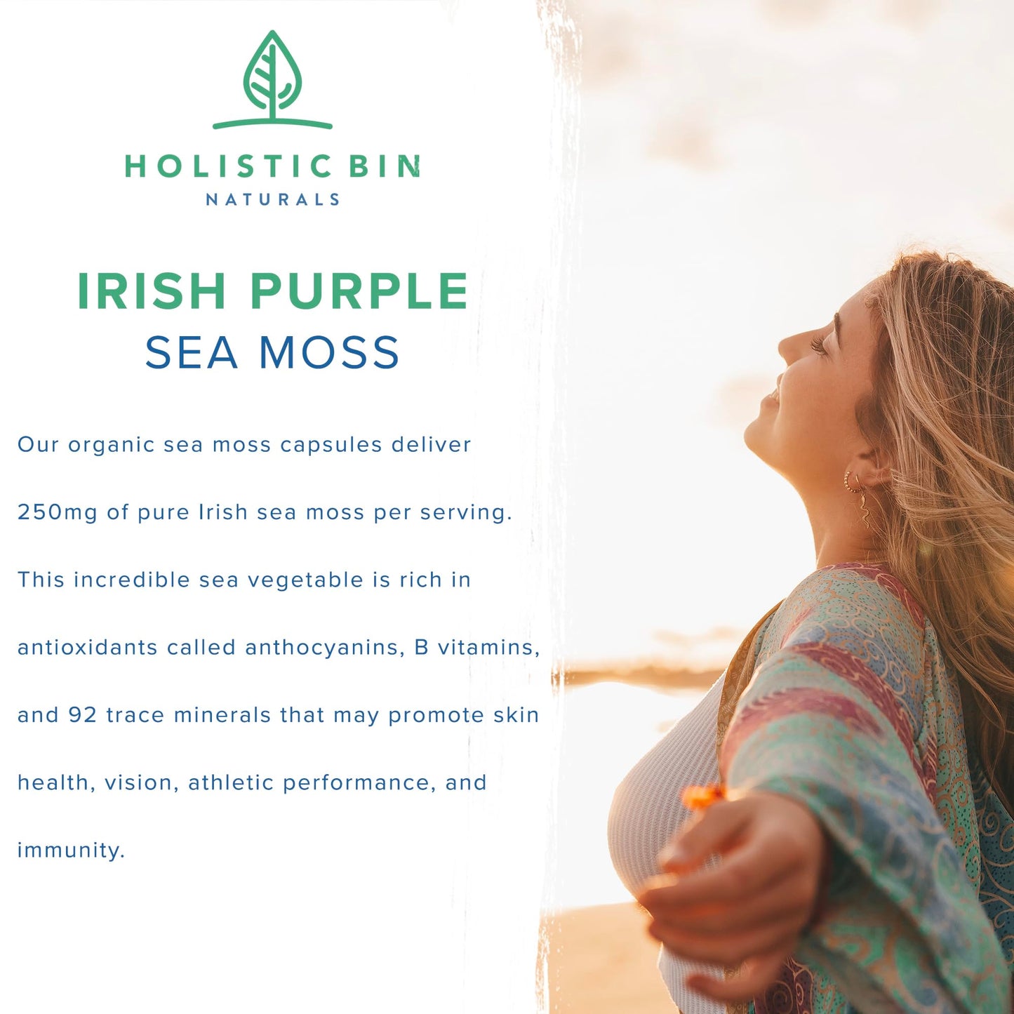 Holistic Bin 1000mg Purple Sea Moss Capsules with Sea Cucumber, 40 Count