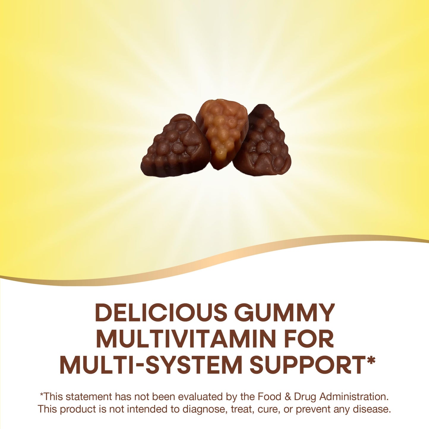 Nature's Way Alive! Adult Premium Multivitamin Gummy, 90 Gummies