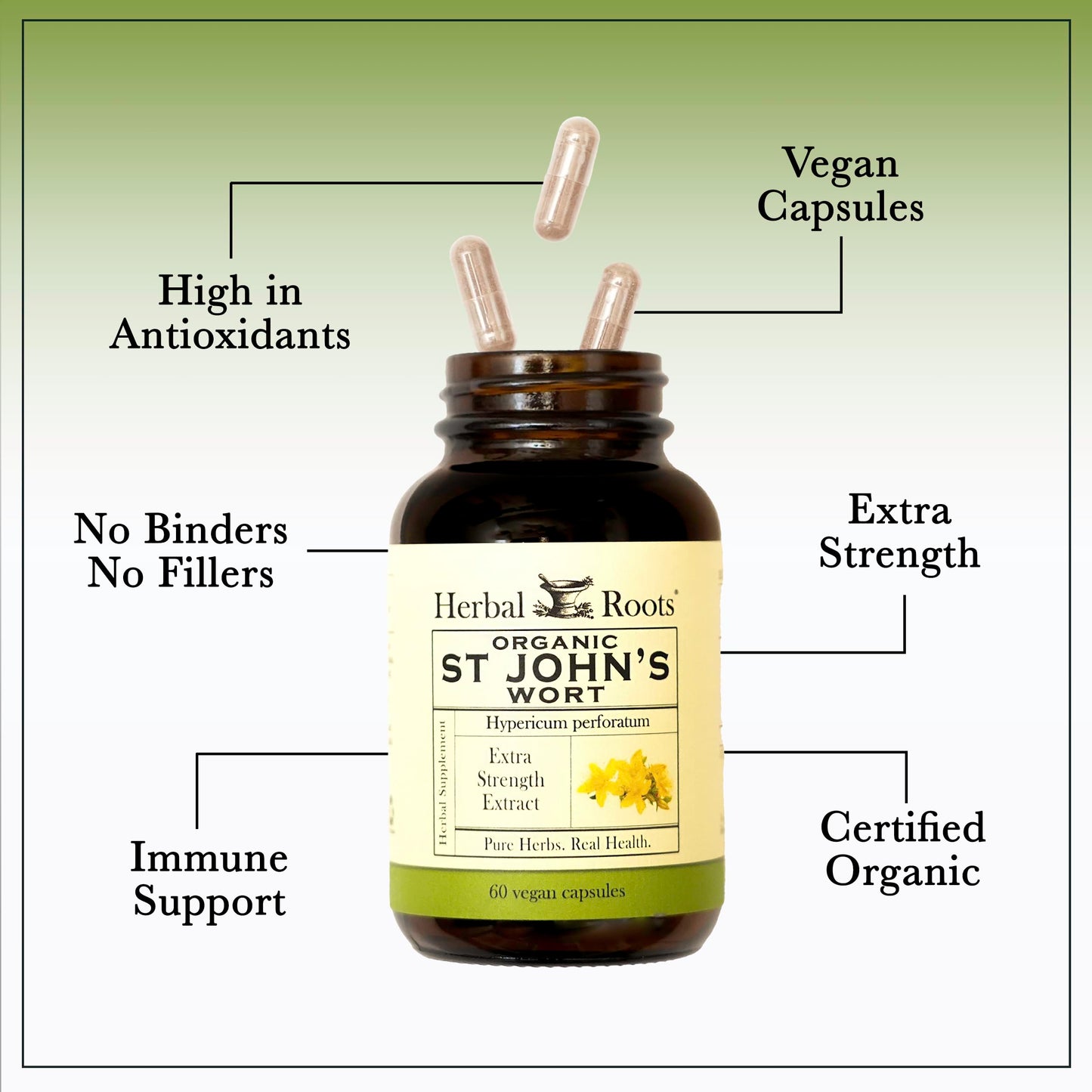 Herbal Roots Organic St Johns Wort Capsules 450 mg per Serving, 60 Count