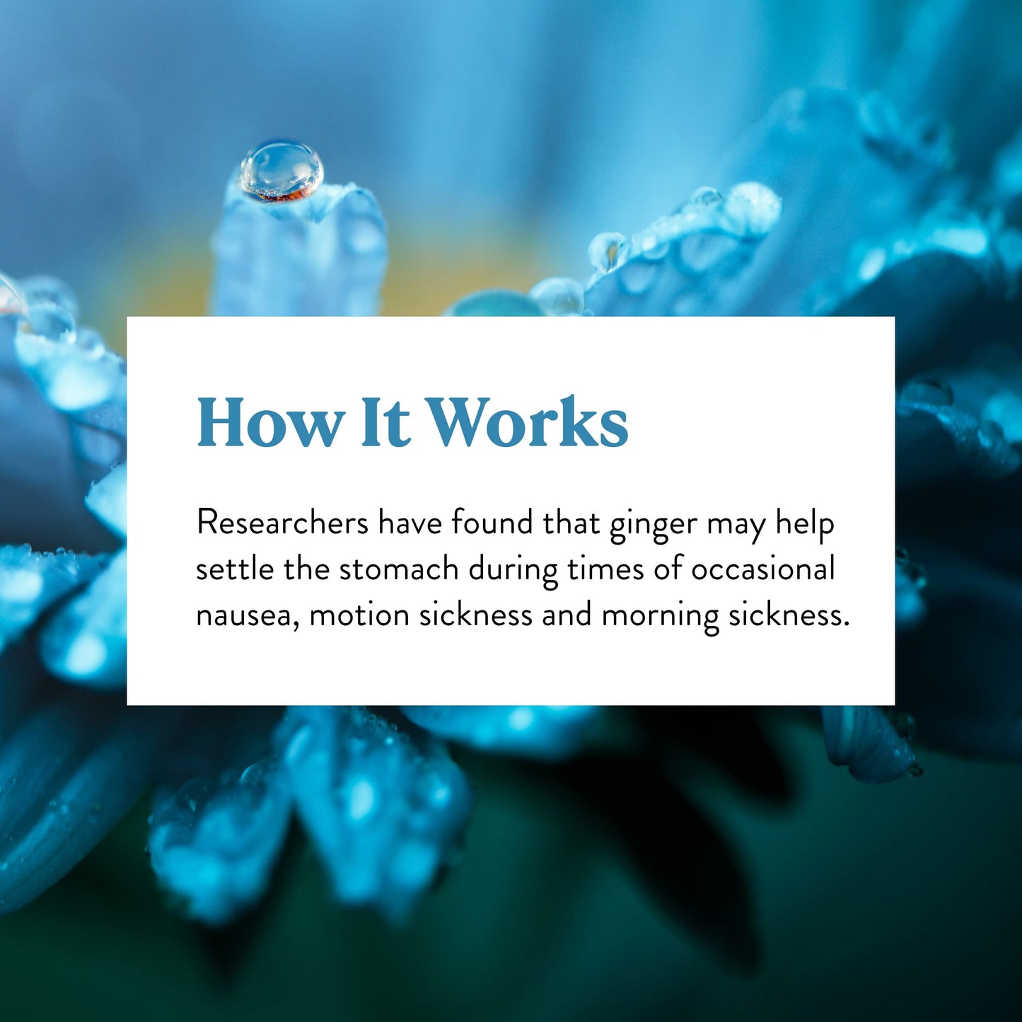 Nature's Sunshine Ginger Capsules 100