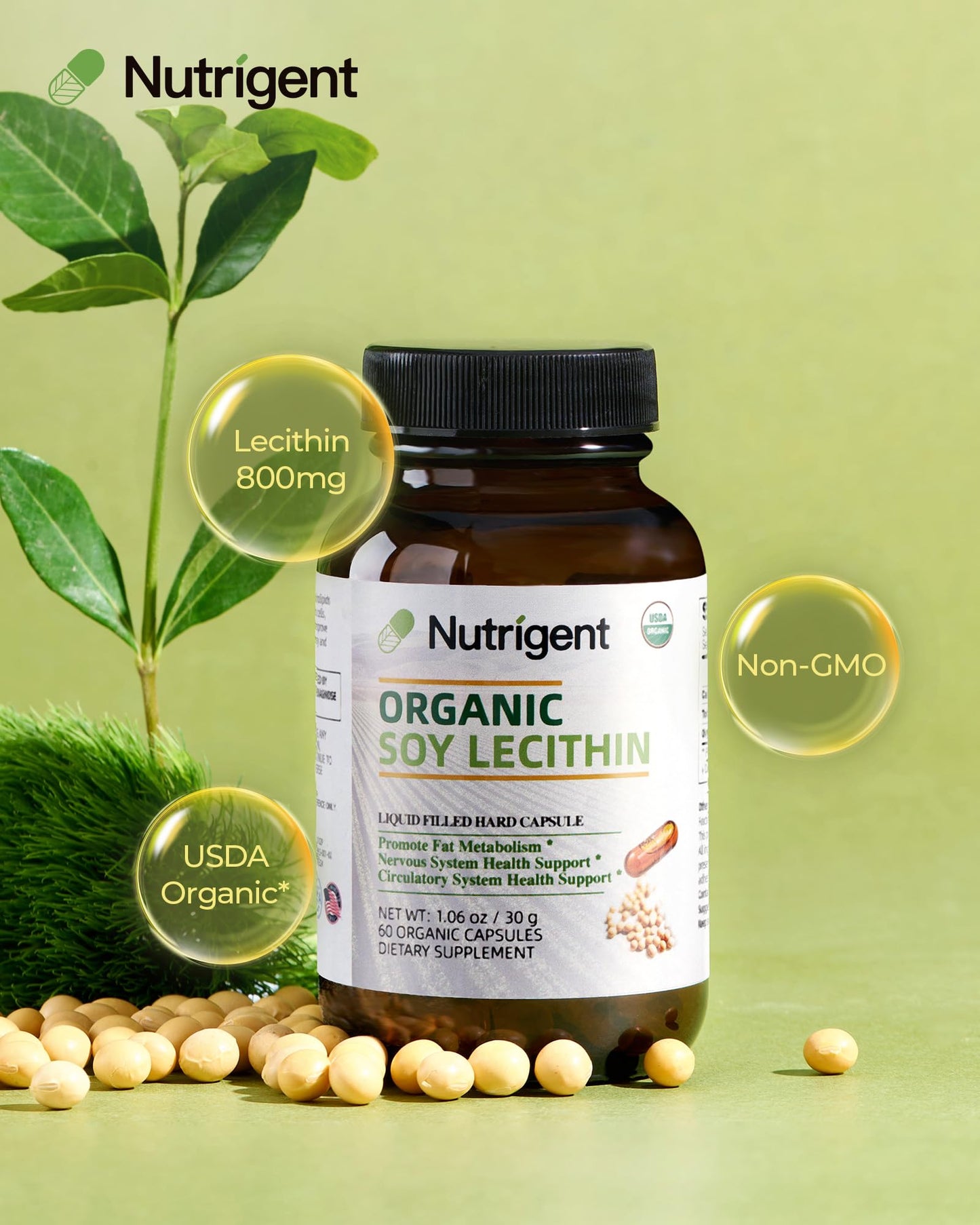 Nutrigent Soy Lecithin Supplement Capsule, 60 Count