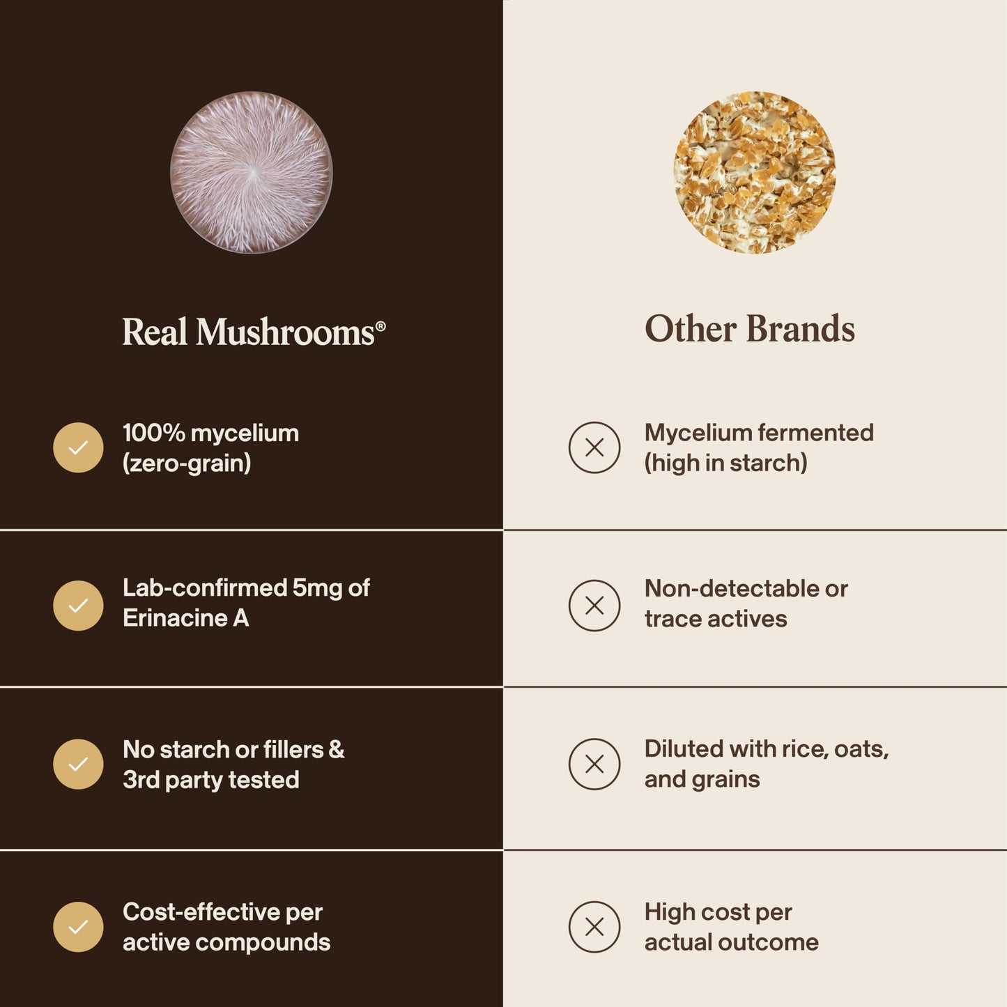Real Mushrooms Real Mycelium Lion’s Mane Mycelium Capsules with 5mg Erinacine A (ErinaPrime) – Focus, Memory & Mental Clarity – 60 Capsules