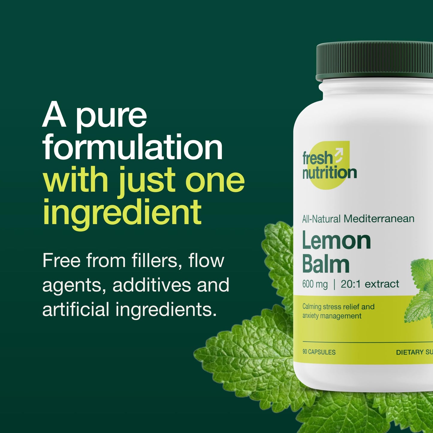 Fresh Nutrition Lemon Balm Extract Capsules 90 Count