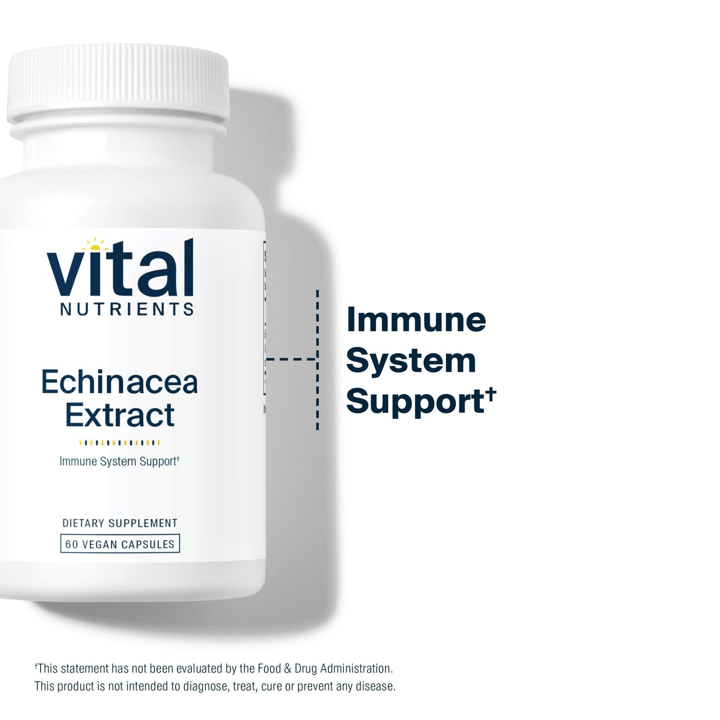Vital Nutrients Echinacea Extract 1000mg Capsules, 30 Capsules
